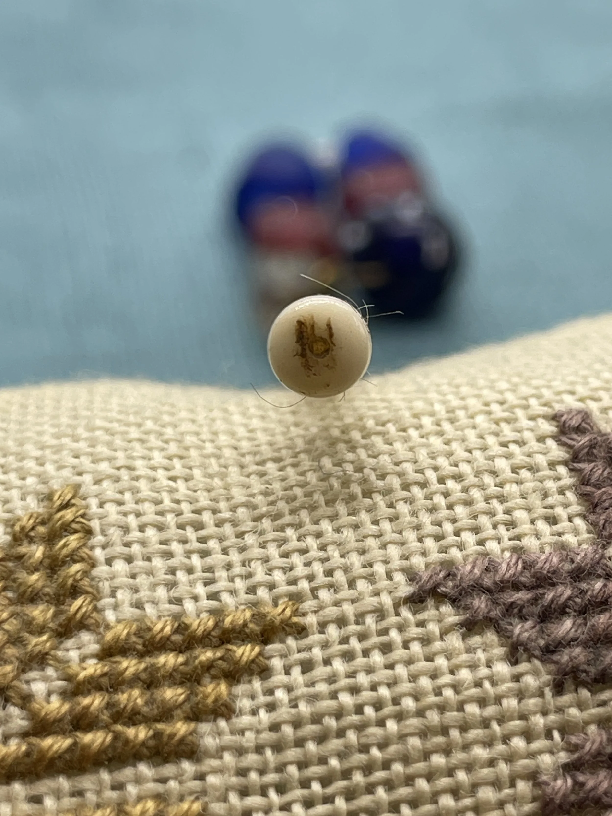 W6 Antique bone bobbin 23-7-26 head.JPG