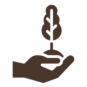 A hand holding a small tree seedling.