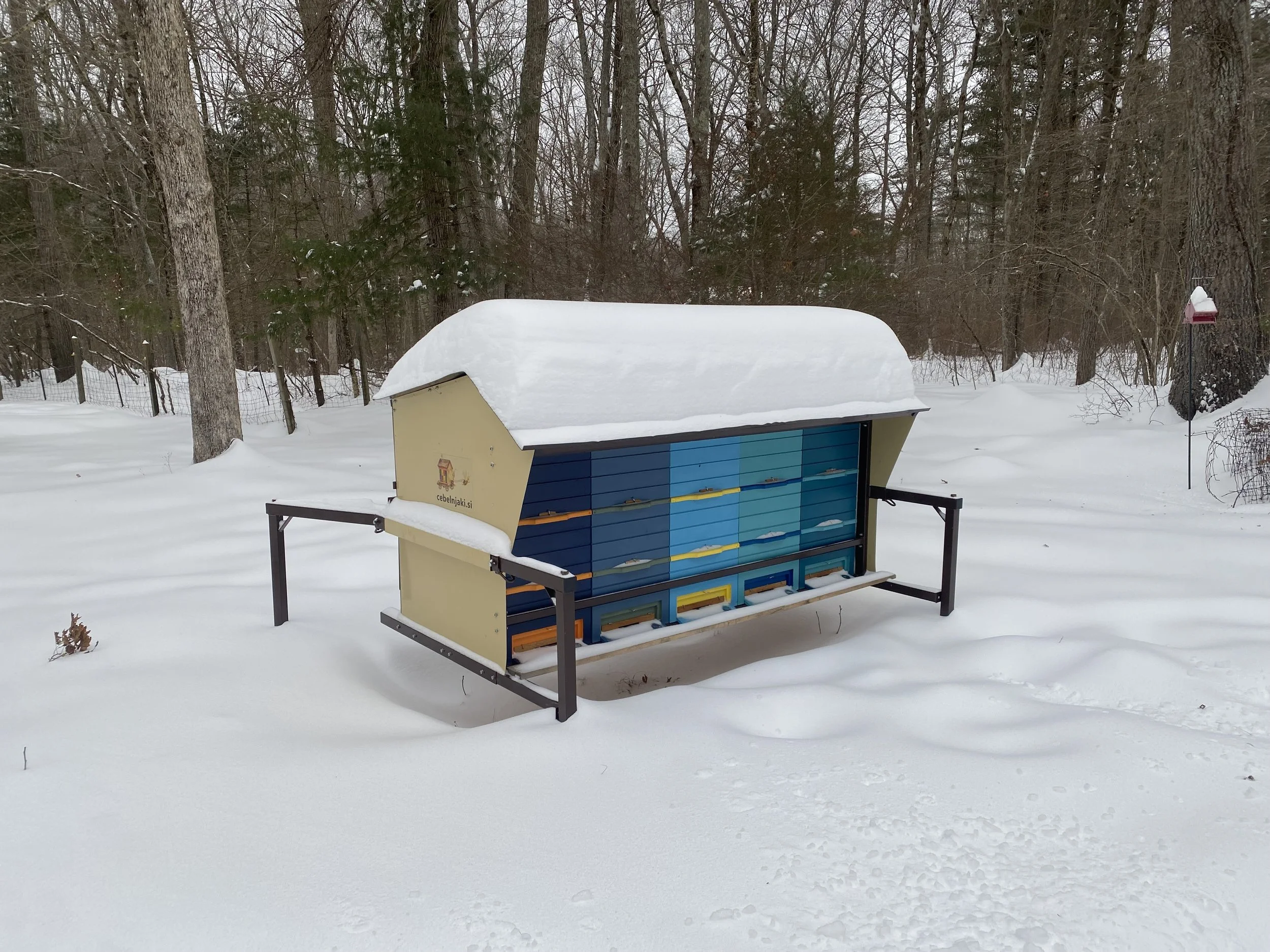 1000 Beekeepers Initiative