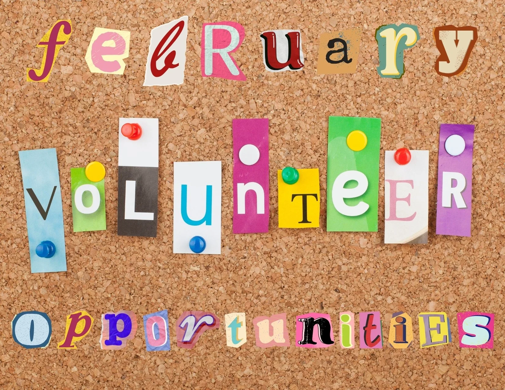 February Volunteer Opportunities