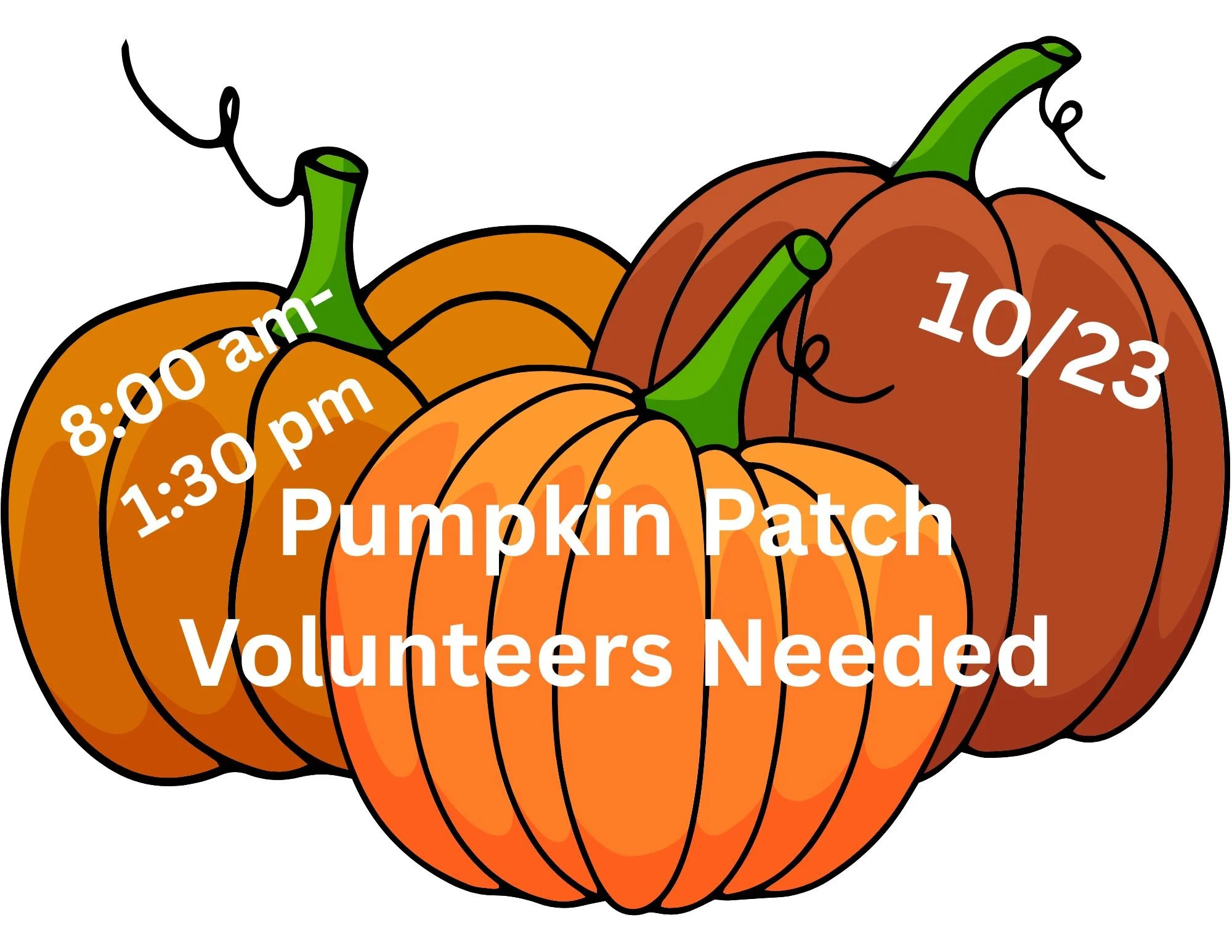 PumpkinPatch.jpg