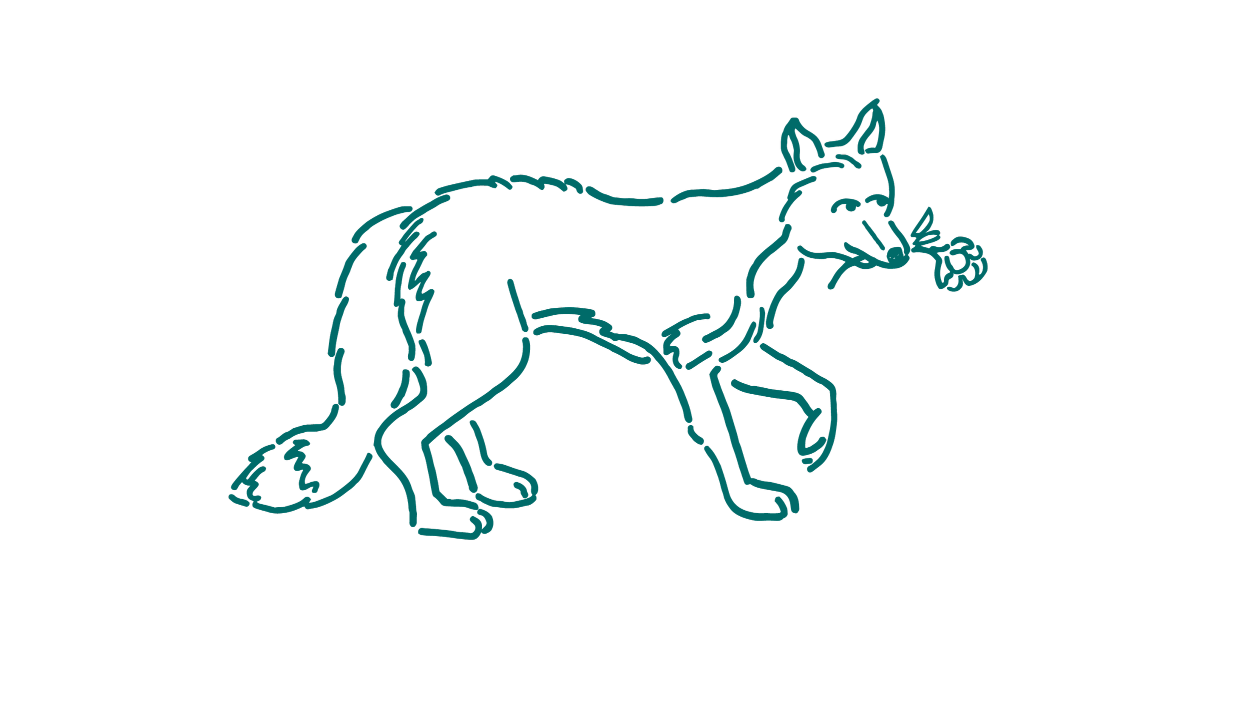 Neon sign of a fox holding a bone in its mouth, outlined with teal lines on a black background.