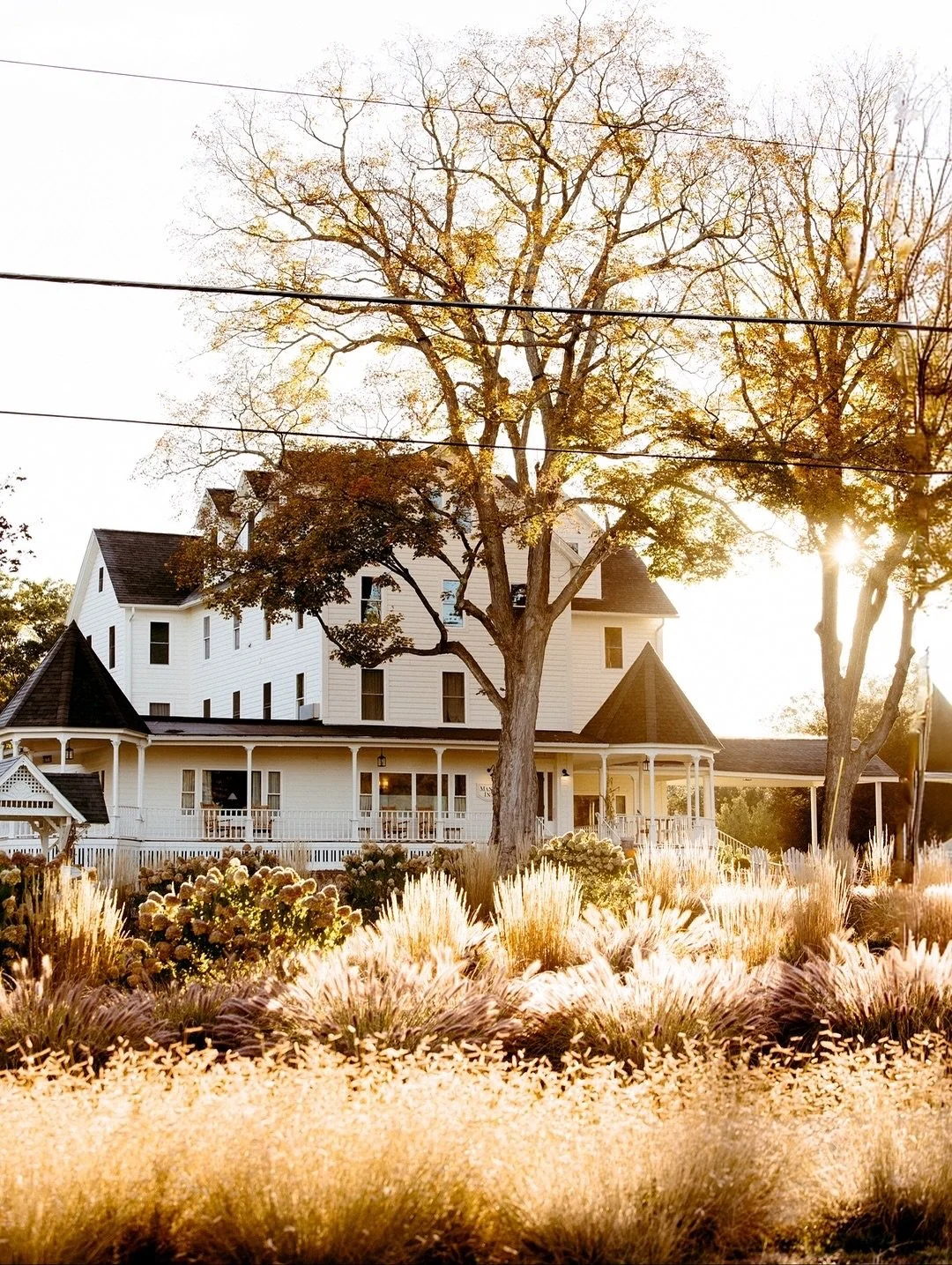 Fall, the way it&rsquo;s meant to feel 🍂

At @wylderhotelwind, where the Great Northern Catskills are just outside your door.

Set on 20 acres along the Batavia Kill River, Wylder Windham is a timeless escape where fall unfolds in quiet, beautiful w
