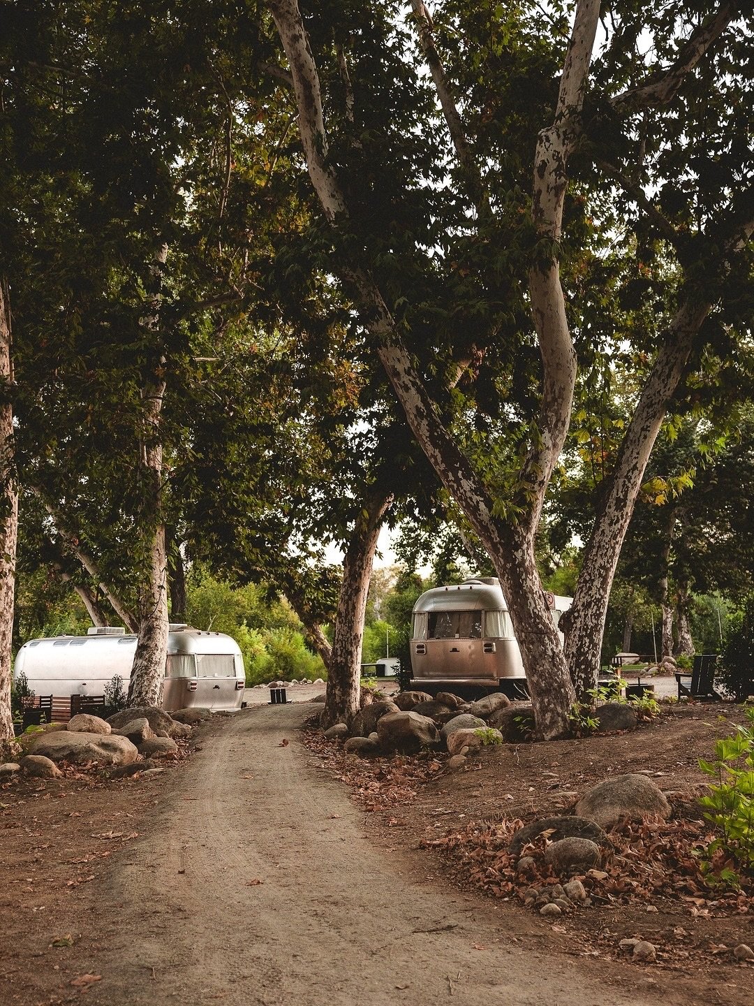 Riverside dinners under the stars? Yes, please.
⠀⠀⠀⠀⠀⠀⠀⠀⠀
@autocamp Sequoia is officially open, and we&rsquo;re so here for it &mdash; a wild, beautiful backdrop made for unforgettable retreats and offsites that actually feel like a break.
⠀⠀⠀⠀⠀⠀⠀⠀⠀
