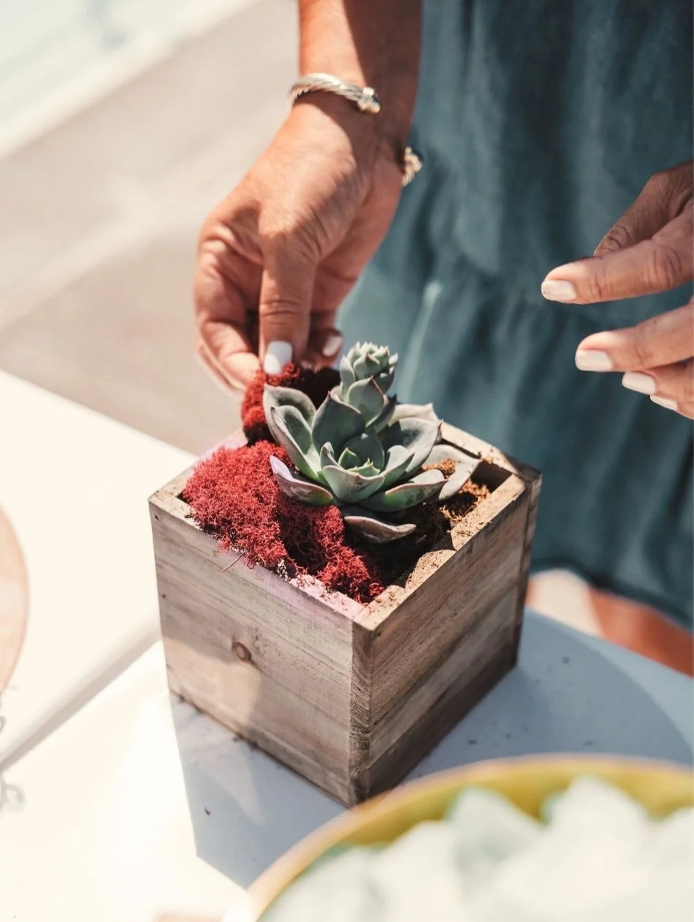 A hands-on moment of connection.

Our Succulent Planting Workshop is a fan favorite year round. It&rsquo;s an inviting moment of gathering that brings people together through creativity and intention. 

From rooftop patios to the wilderness, this exp