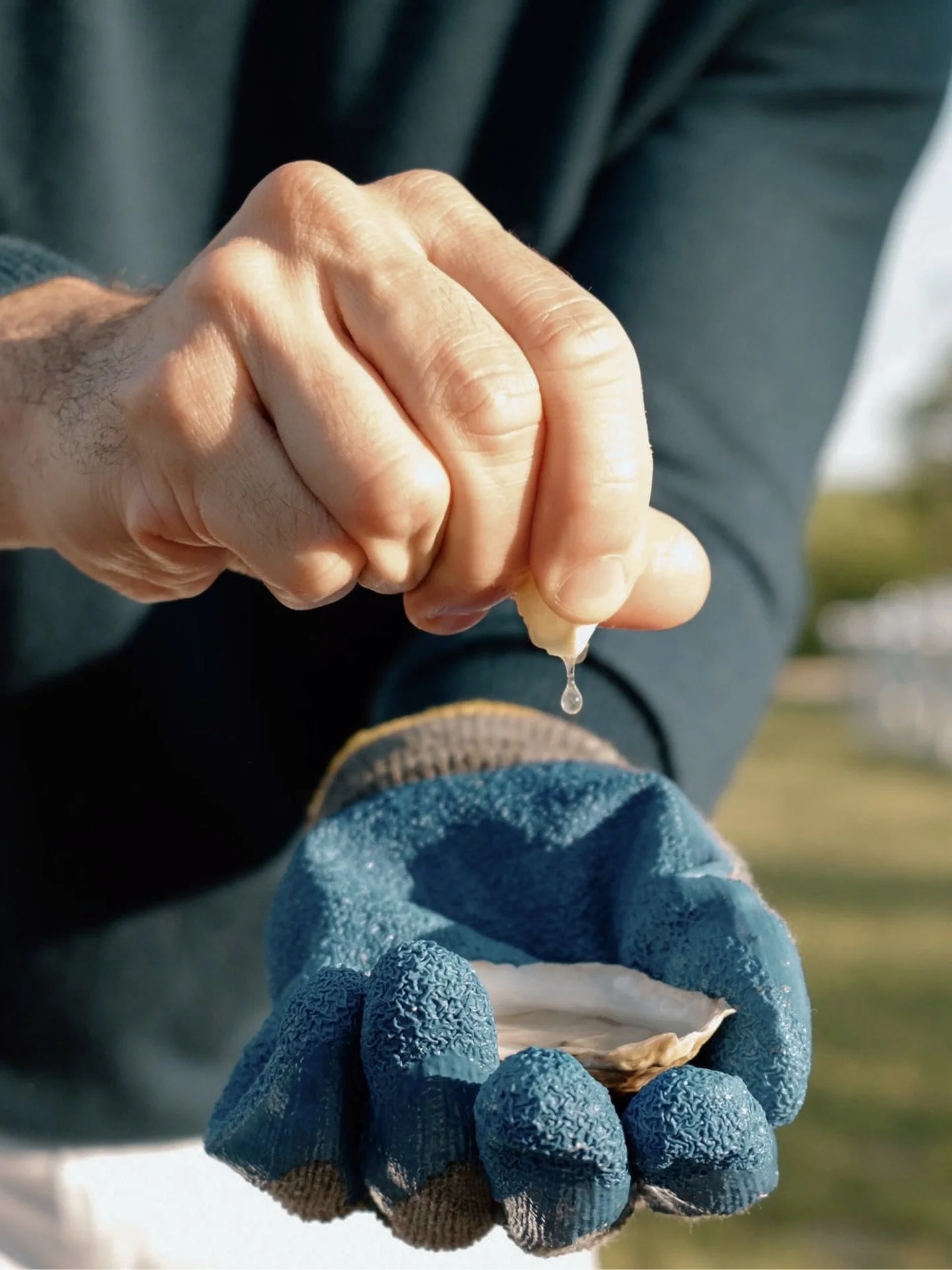Forget the standard agenda.
This is raw, hands-on, and real.
⠀⠀⠀⠀⠀⠀⠀⠀⠀
Master the shuck with a guided coastal raw bar experience.
Refined seaside entertaining designed for connection and shared mastery.
⠀⠀⠀⠀⠀⠀⠀⠀⠀
The kind of summer people remember.
⠀