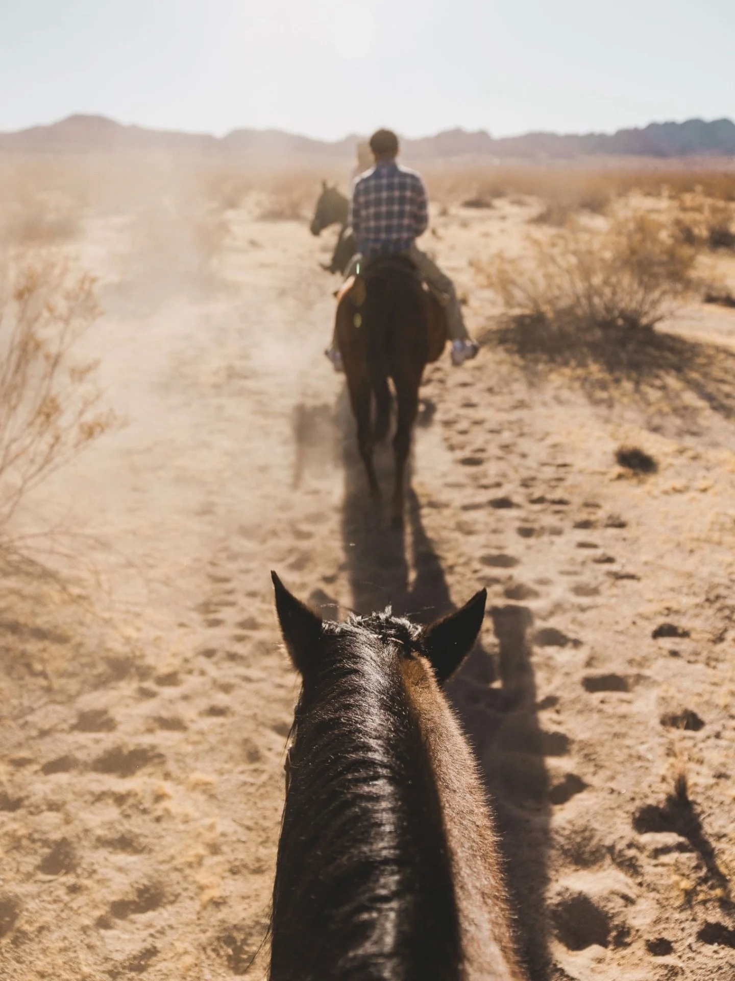 Where the wild finds a home.
⠀⠀⠀⠀⠀⠀⠀⠀⠀
@cascadetrails_jt is more than just another stop in the desert. Founded with a mission to protect wild mustangs in need, this Joshua Tree sanctuary is built on authenticity and a deep heart for the herd.
⠀⠀⠀⠀⠀⠀⠀
