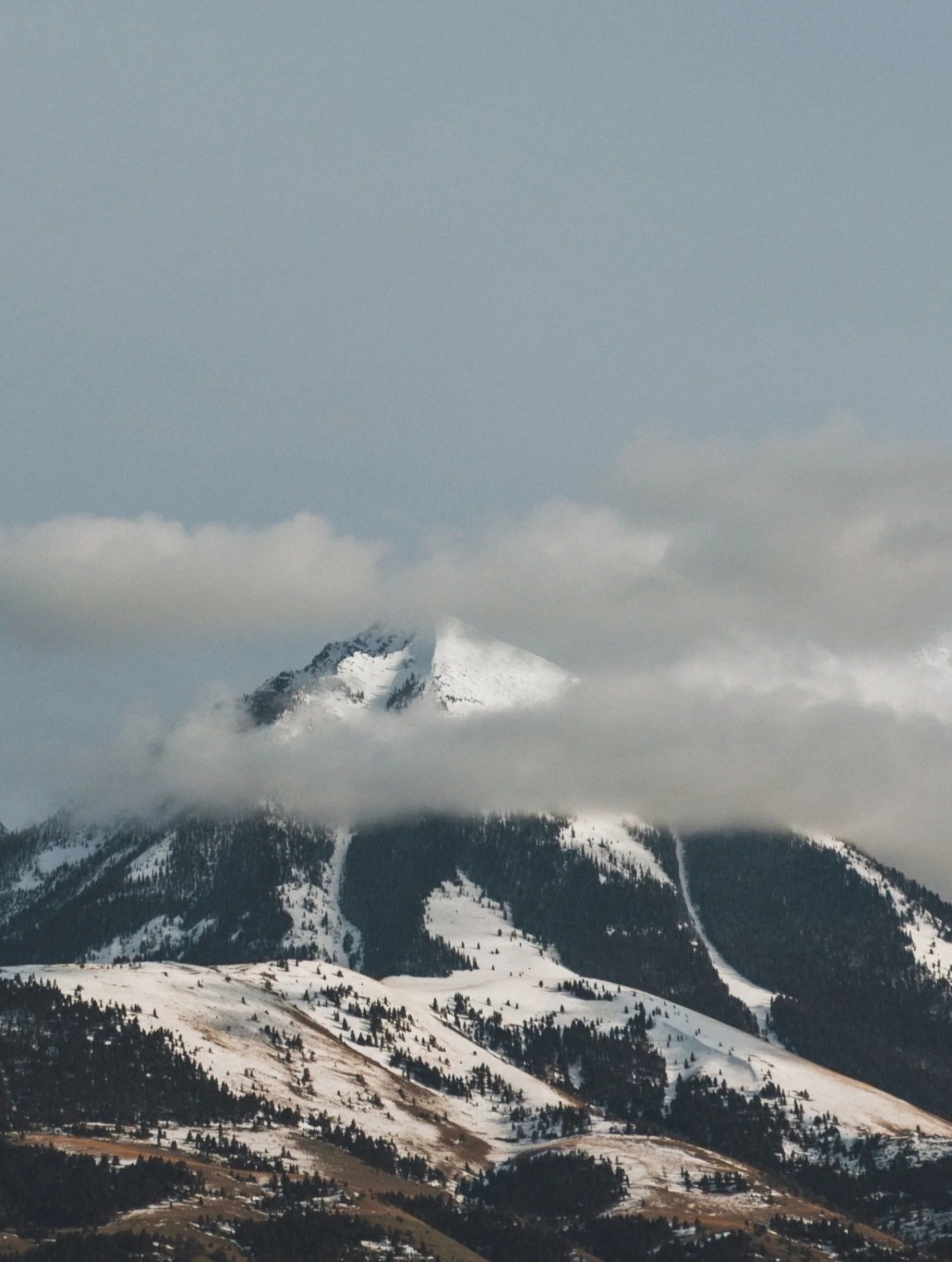 Peak season is almost here!
⠀⠀⠀⠀⠀⠀⠀⠀⠀
There&rsquo;s nothing like summer in the mountains. We&rsquo;re heading for Yosemite, Park City, and Jackson to find some fresh air and new horizons.
⠀⠀⠀⠀⠀⠀⠀⠀⠀
See you at the summit?

#mountainretreat #brandactiv
