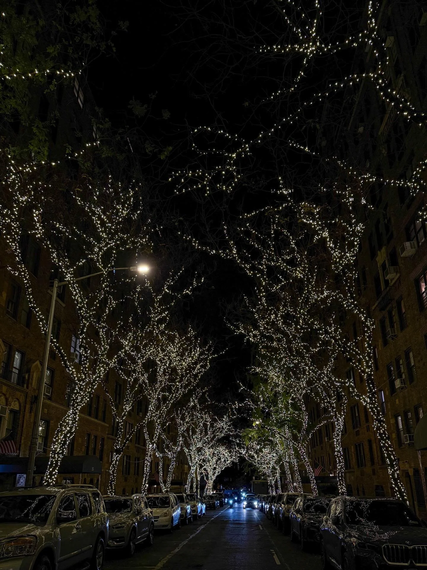73rd street lit up for the holiday season✨wish more streets would do this too!!