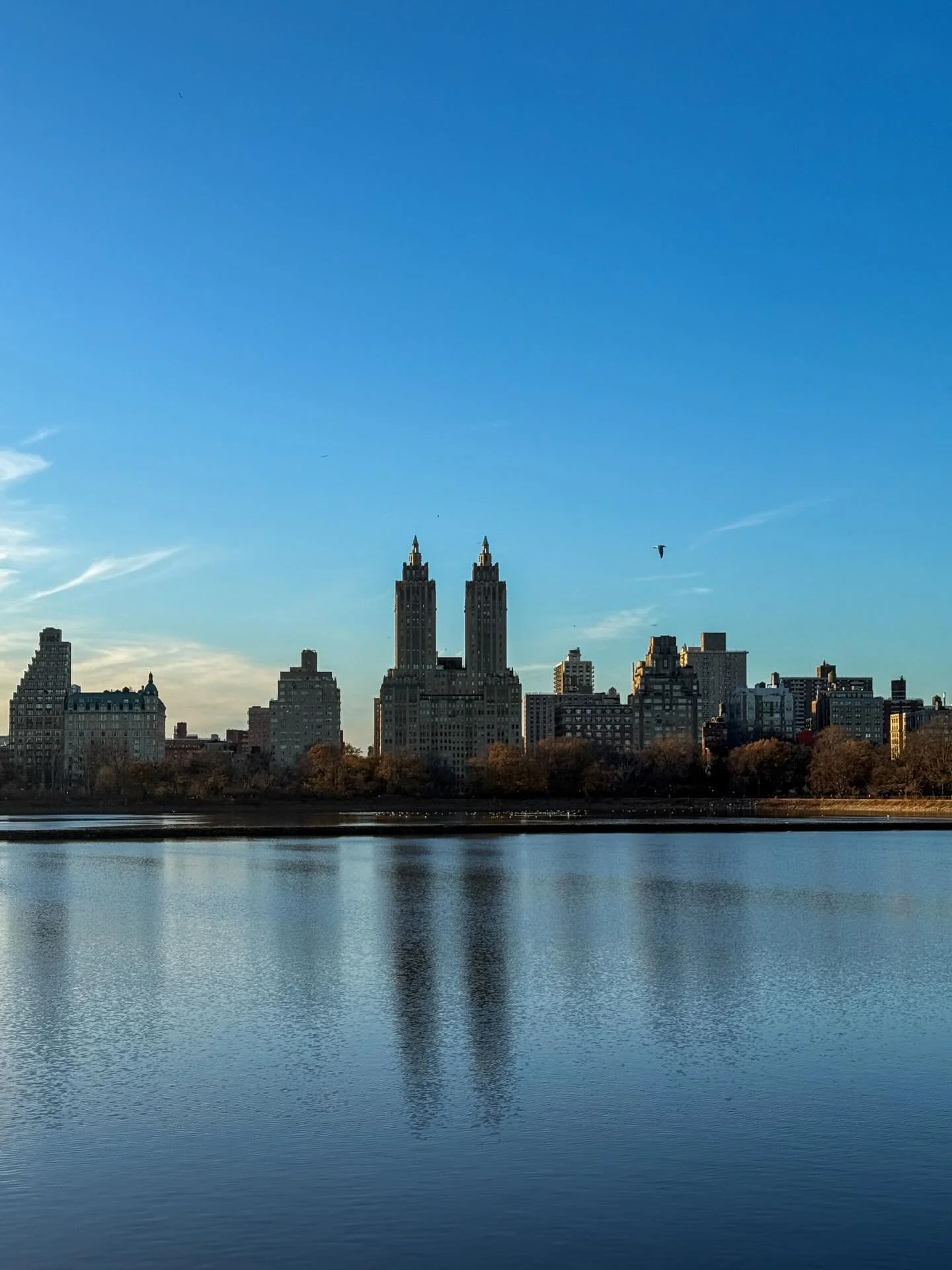 January in central park🤍