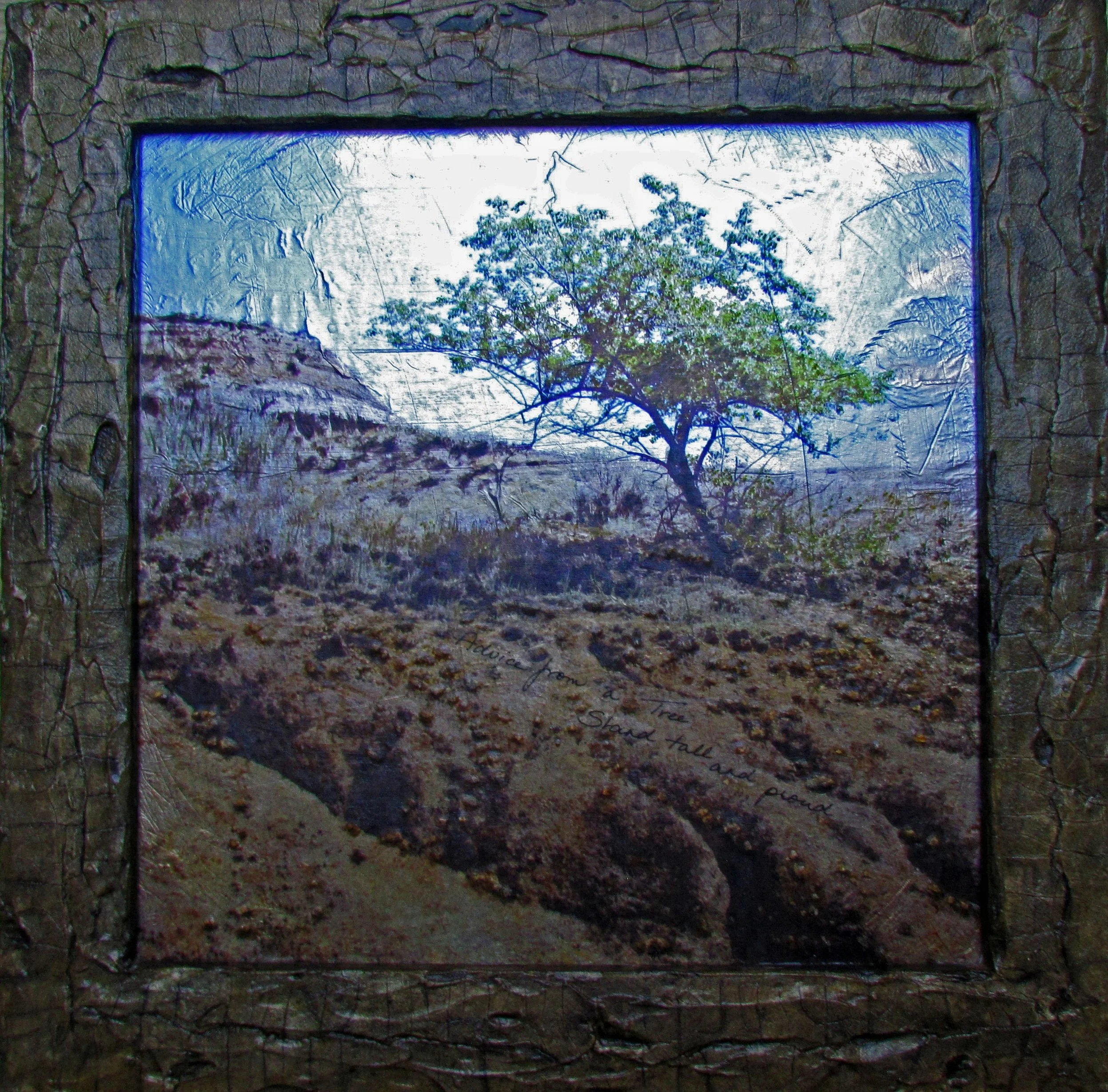 Advice From a Tree
"Stand Tall and Proud"
2019
14" x 14"
Mixed media