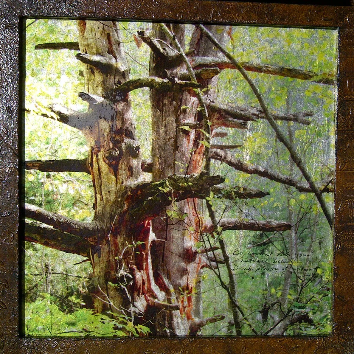 Advice From a Tree
"Drink Water"
2012
Mixed media