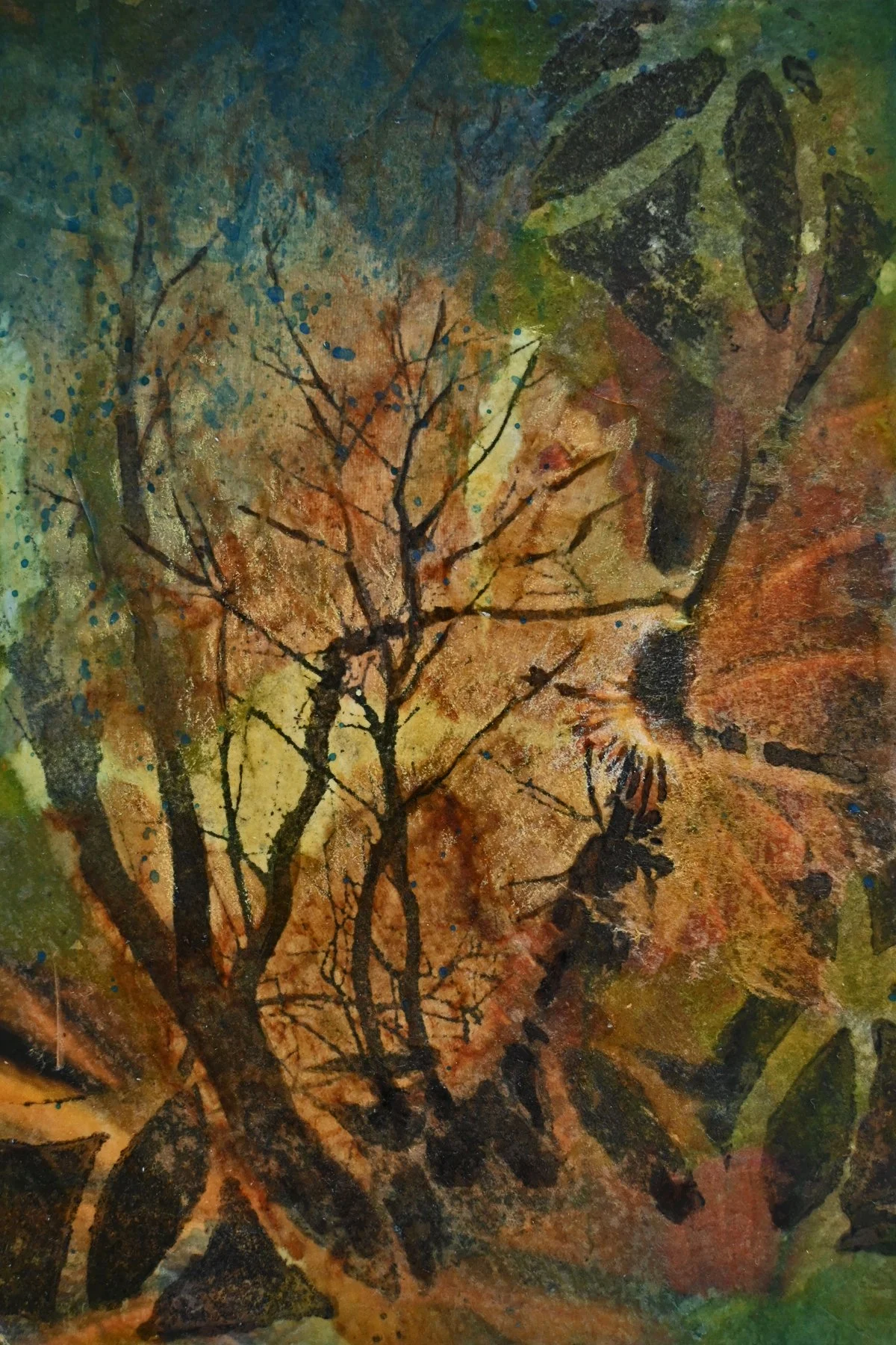 #183 Glade