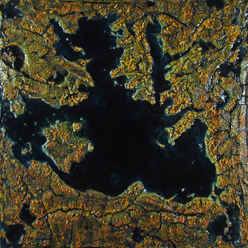 On the Edge - Boreal Forest