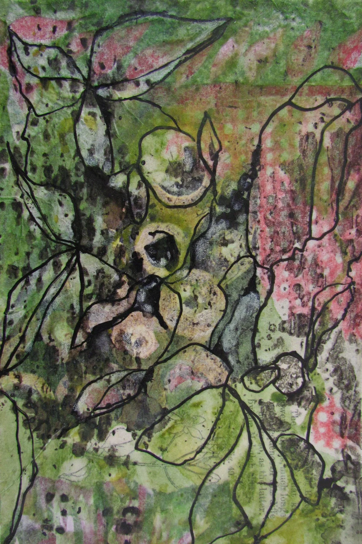 #036 Shade Garden