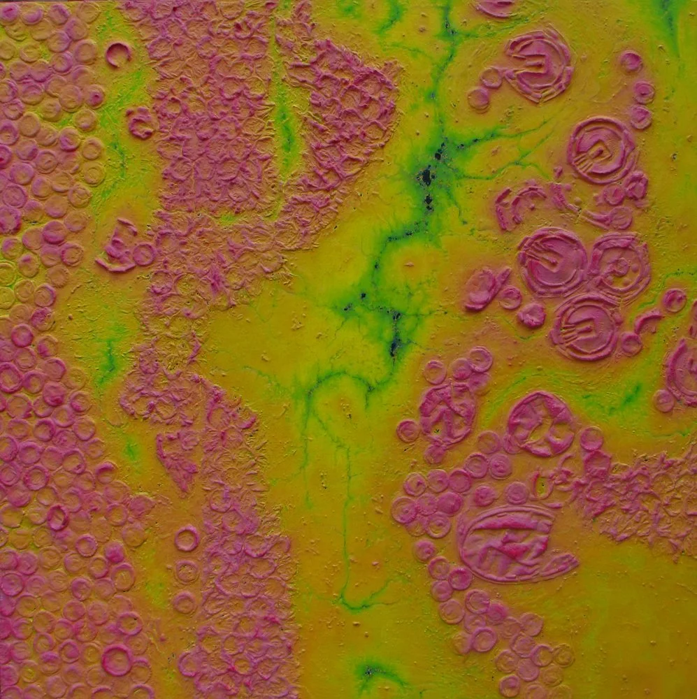 Topography III Oasis
