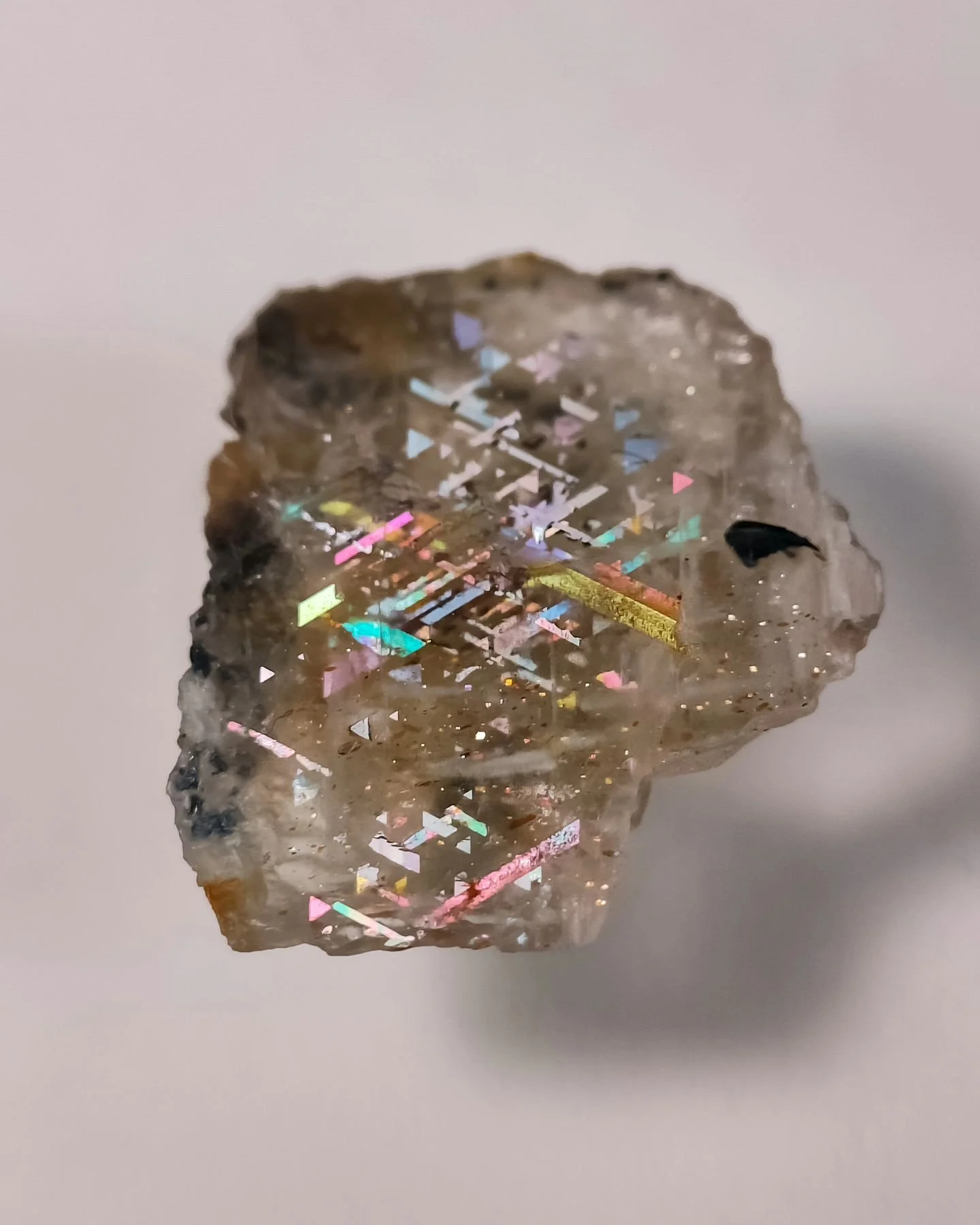 Stone - Rainbow Lattice Sunstone 

Locality - Harts Range, NT, AUST

Type - Specimen 

Size - 13x15x5mm

Weight -  1.25g

SKU - RLSS0006

Available at Toppagems.com 

#gemstones #crystalvibes #jewelrylover #gemhunter #crystallhealing #gemstonecollect