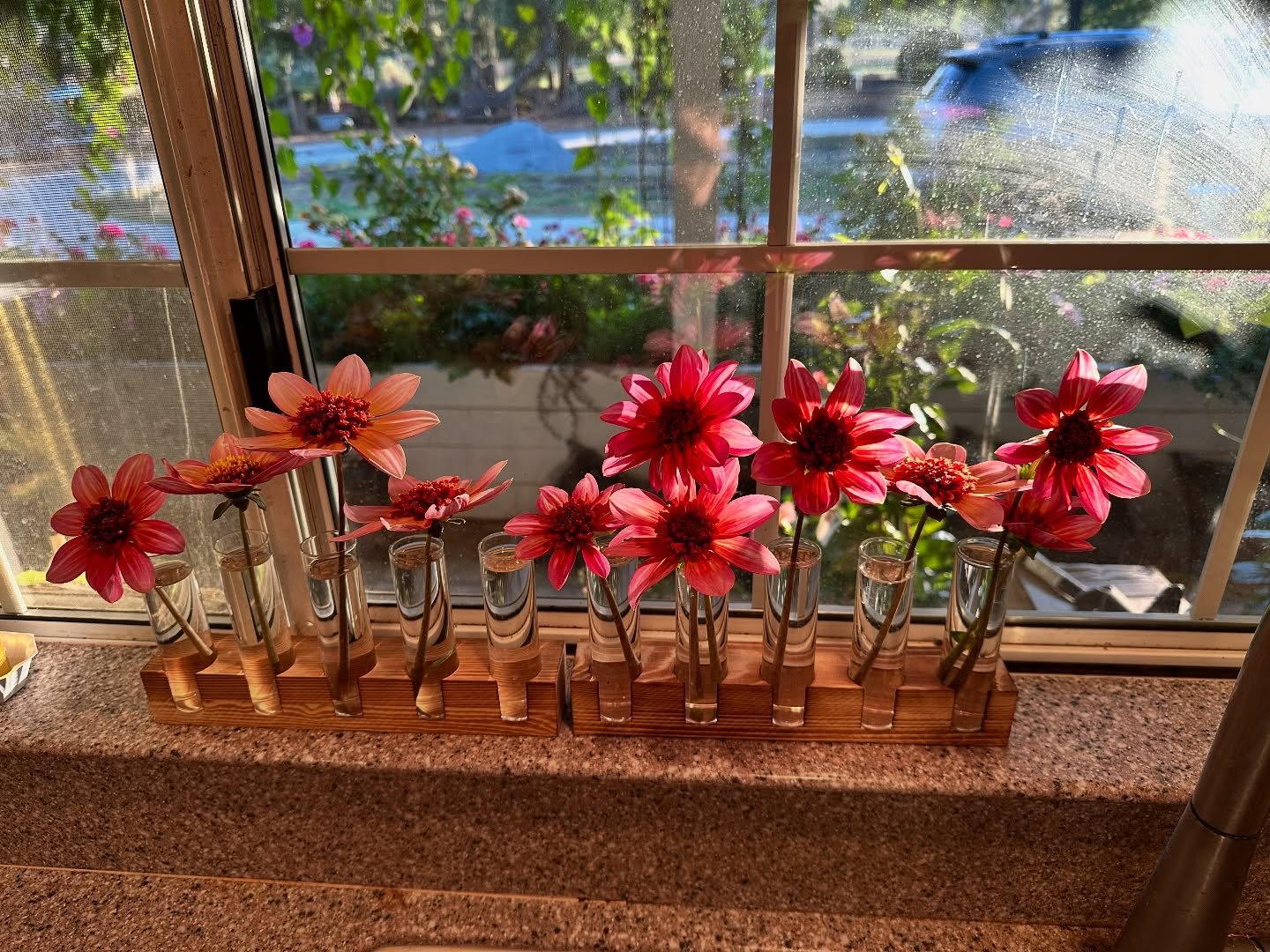 Pretties from the garden