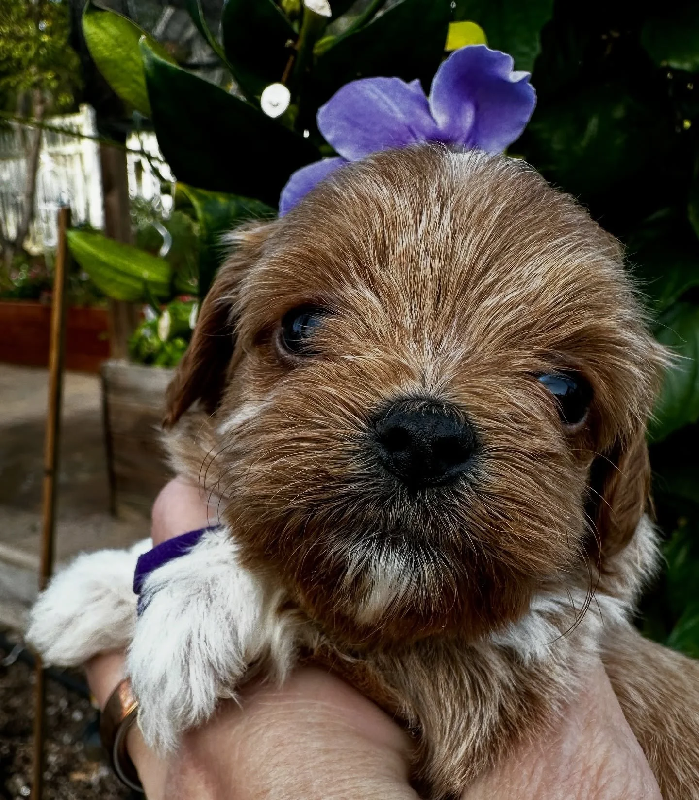 Donatella, one of Jolly&rsquo;s babies. 💖