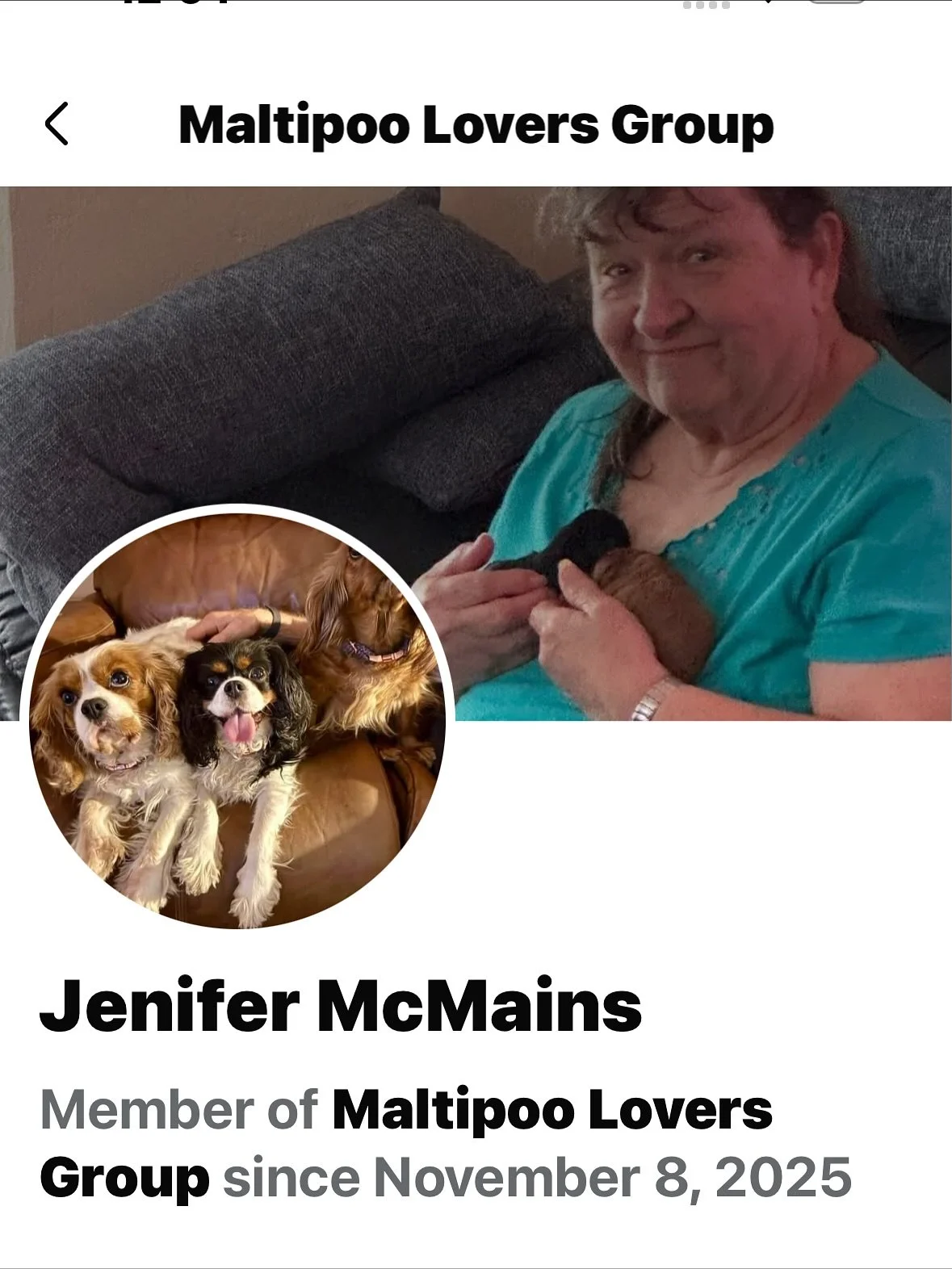 Please everybody go report this page. This person is stealing my photos and is now trying to impersonate me and scam people. Let&rsquo;s shut her down. Lynn Ayala is the individual&rsquo;s name and she must run the group Maltipoo Lover&rsquo;s Group.