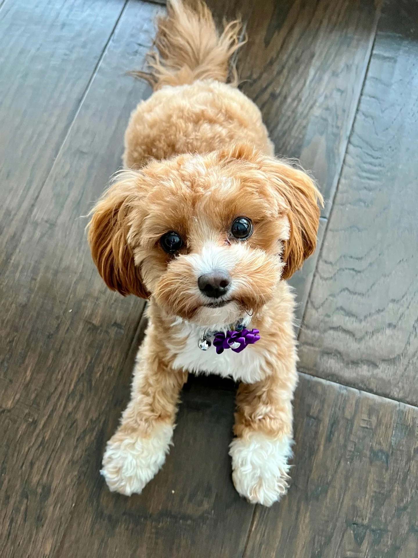 Cheerio, Jolly baby. 💖💕