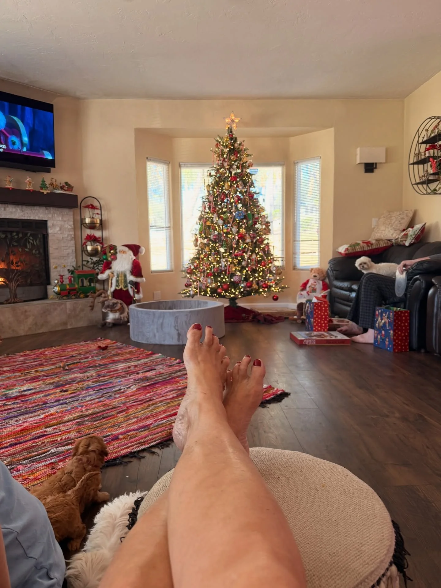 Hanging out with the gang today. These pups are so good for my daughter Sarah who is developmentally disabled daughter. It is a Merry Christmas indeed.