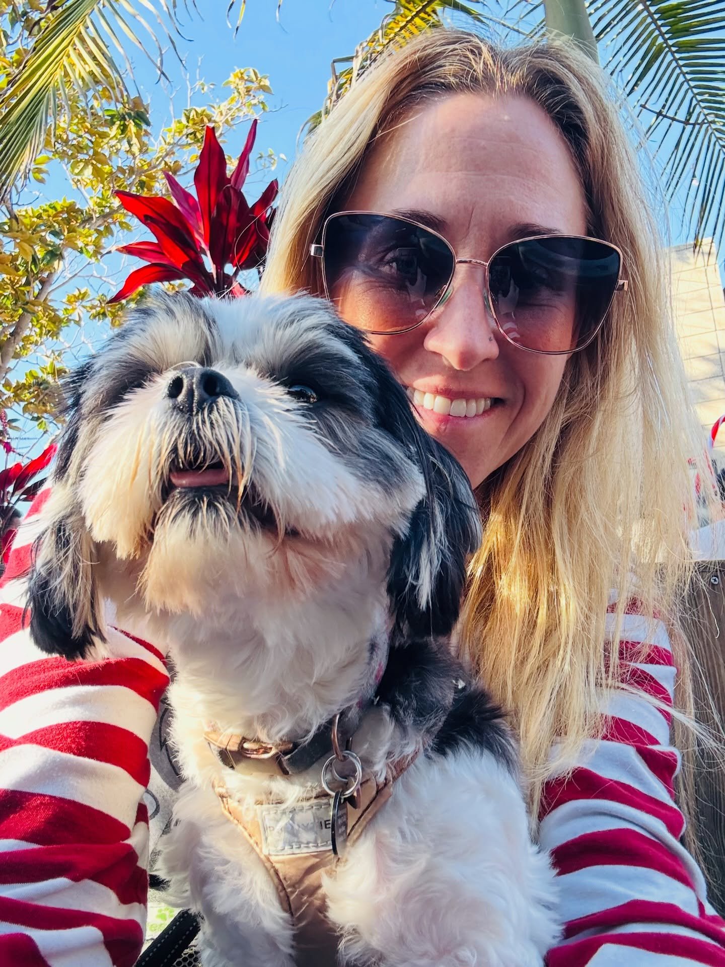 Cosette and the Olsen women say Merry Christmas!