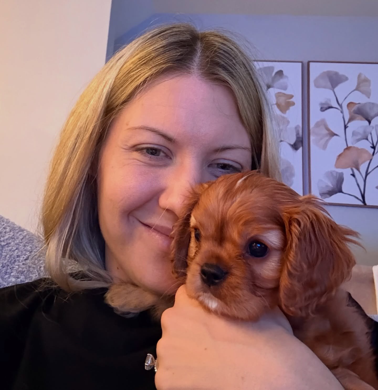 Arlo went home today! He&rsquo;s a beloved baby. And he has a cavalier kingdom brother who is a 6 year old black and tan boy from our retired girl Abby, who is an absolute sweetheart. I look forward to updates about the boys. Thank you Kimberly for t