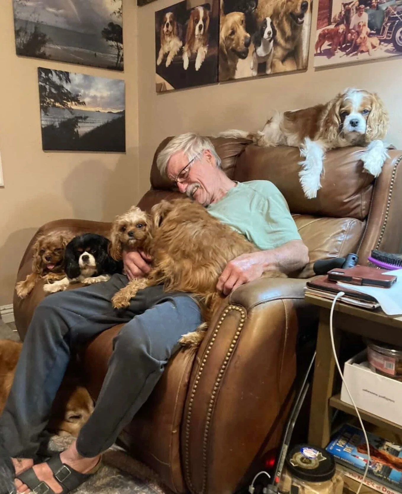 The love in this photo of Tom and the Cavalier Kingdom girls is palpable. I&rsquo;m so grateful to Pam and Tom who extended their family to include not just some CK puppies, but a handful of CK retired mommas and the special girl Fergie with the seri