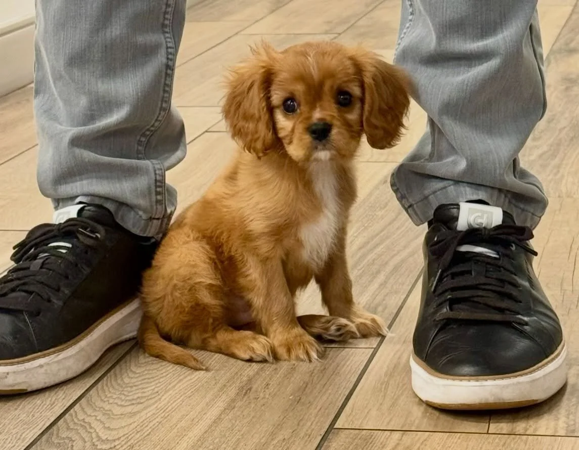 Asher has left the building. 💖