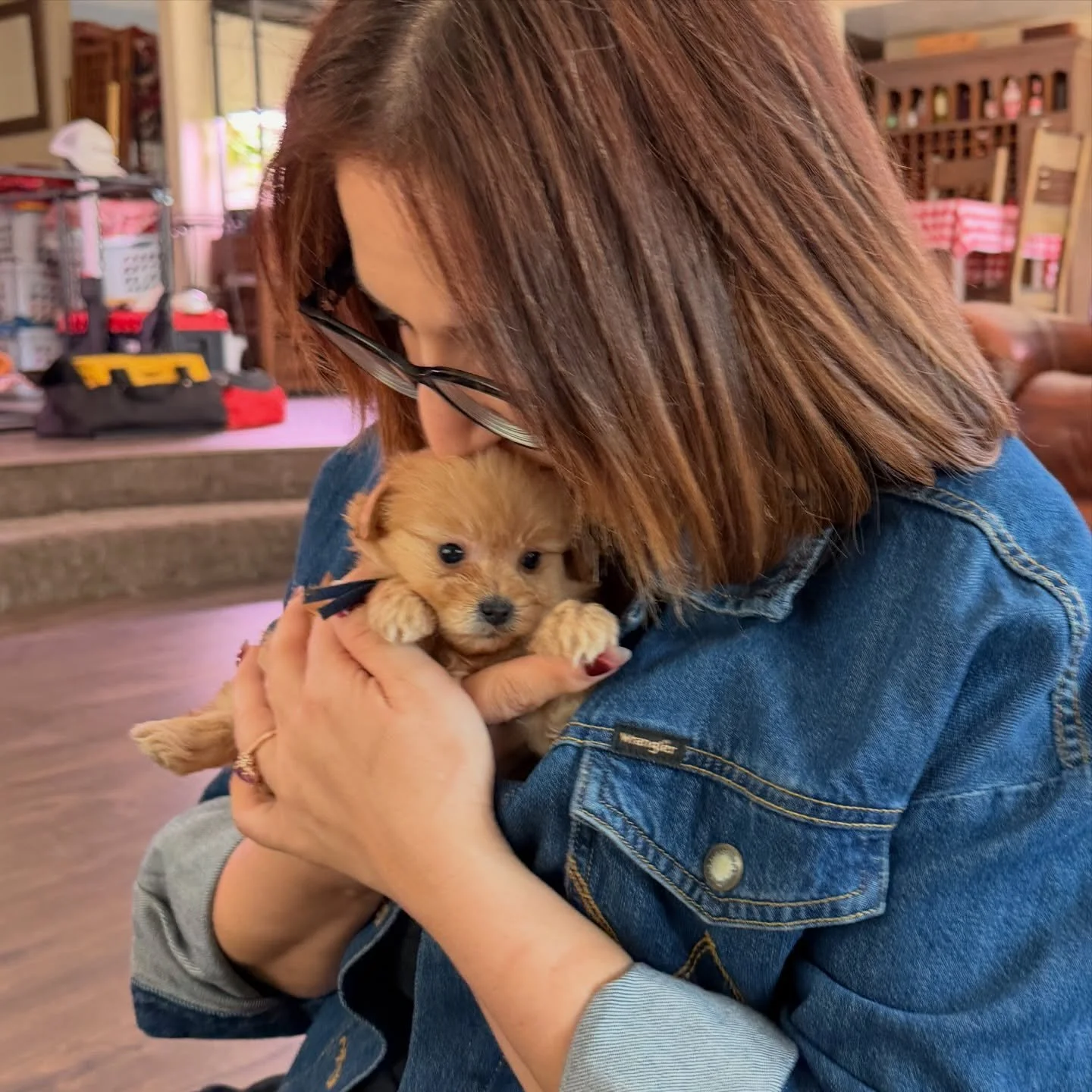 Paddington, goes along and gets along. Plays and cuddles equally well.