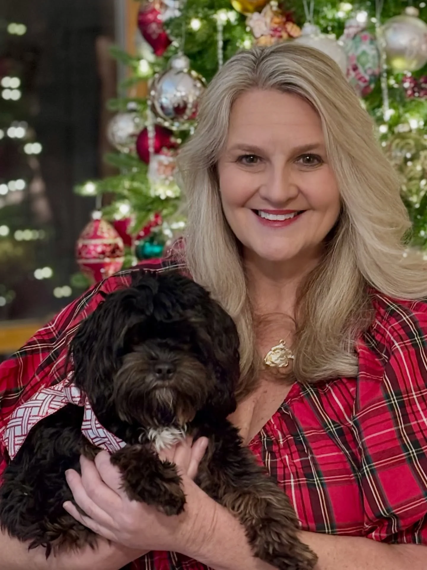 Carmen&rsquo;s baby formerly known as Kona&hellip; Luca now I believe? 😬😬 He is stunning and has kept his rich gorgeous color - as will Carmen&rsquo;s current babies Sway, Dash, Chase and Cruz. 💖 Thank you, Nicole for the share. 🙏🏻🐶