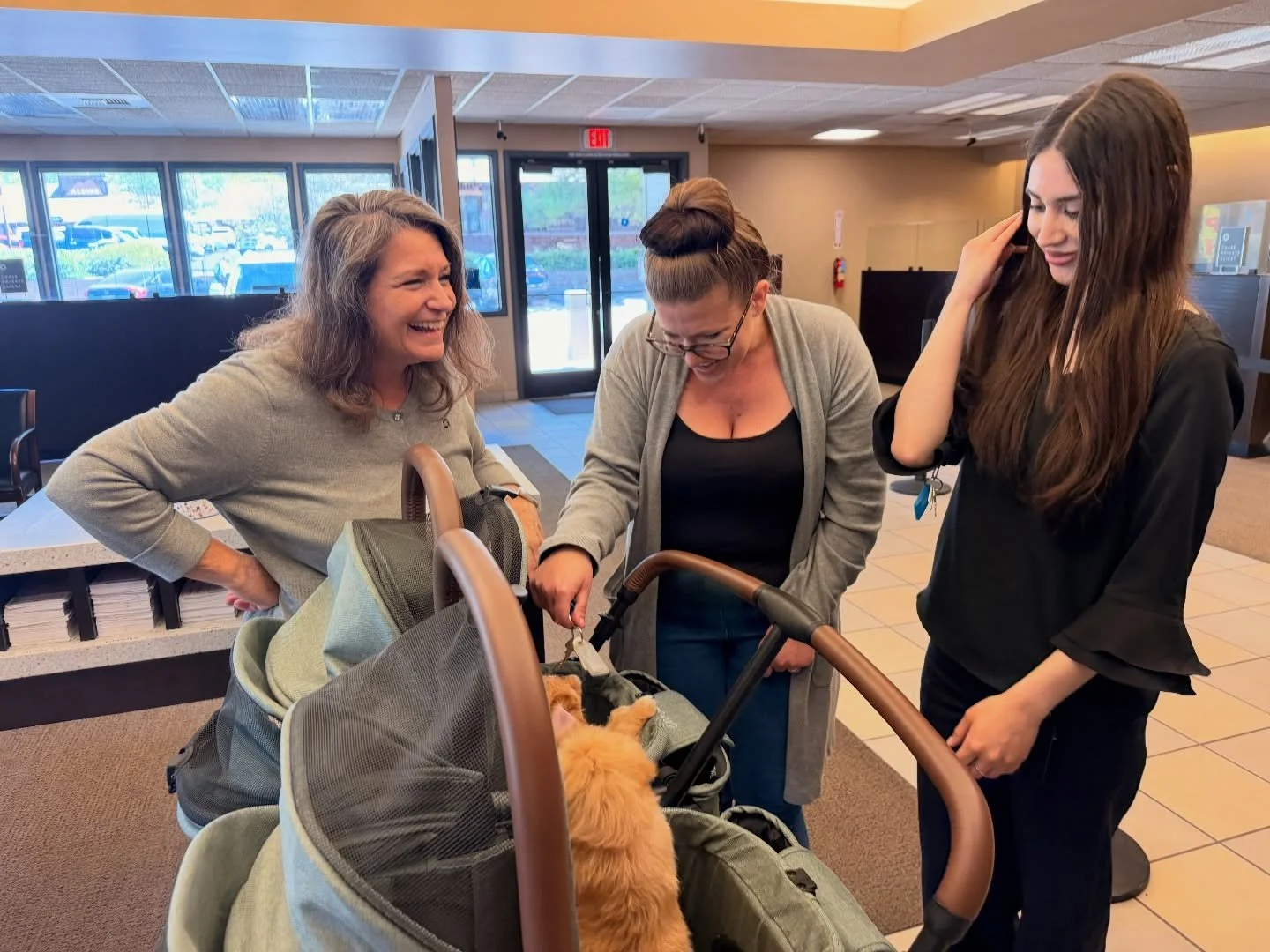 Socializing at the bank. These puppies are THE most charming special babies. 💖💖💖