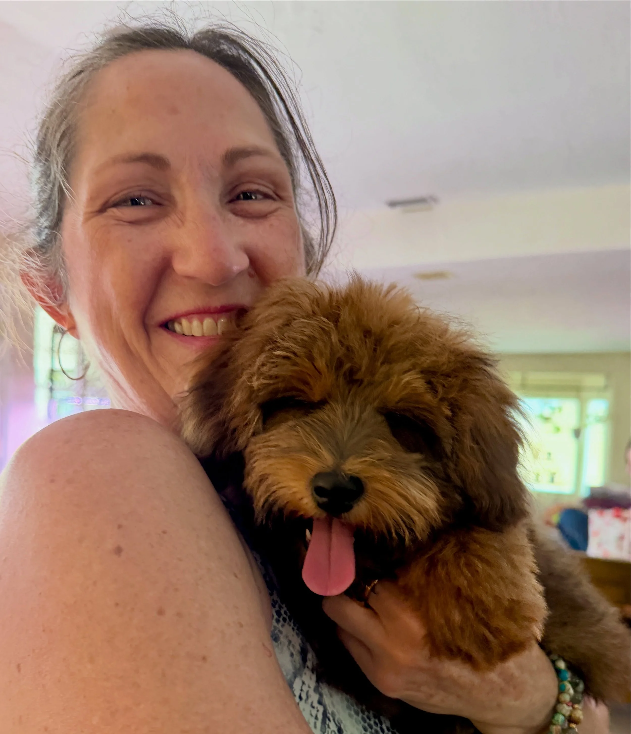 Tater Tot will be in a guardian home with Sheila, hopefully to be spud the stud someday. 💖