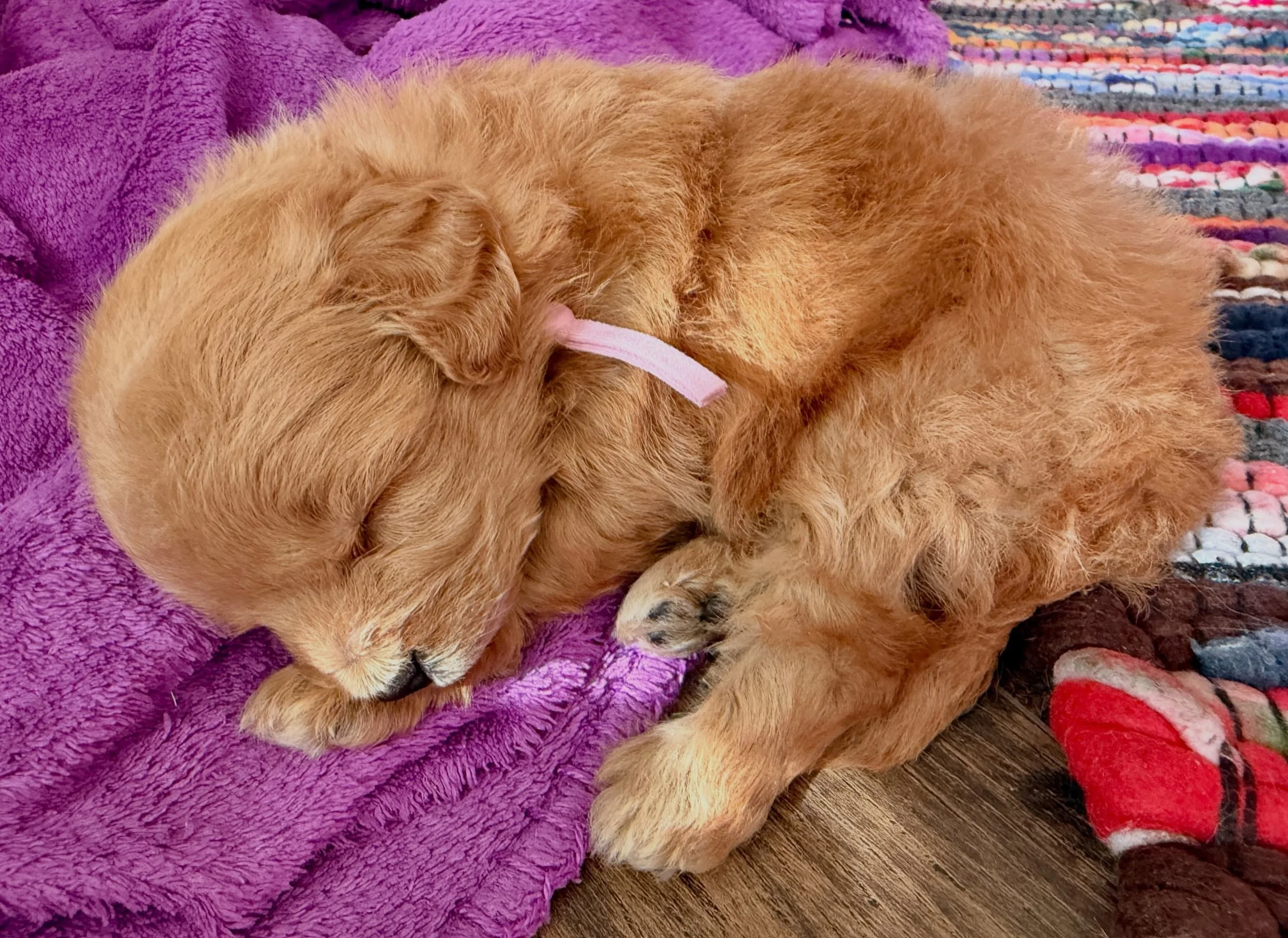 Naptime. 💜