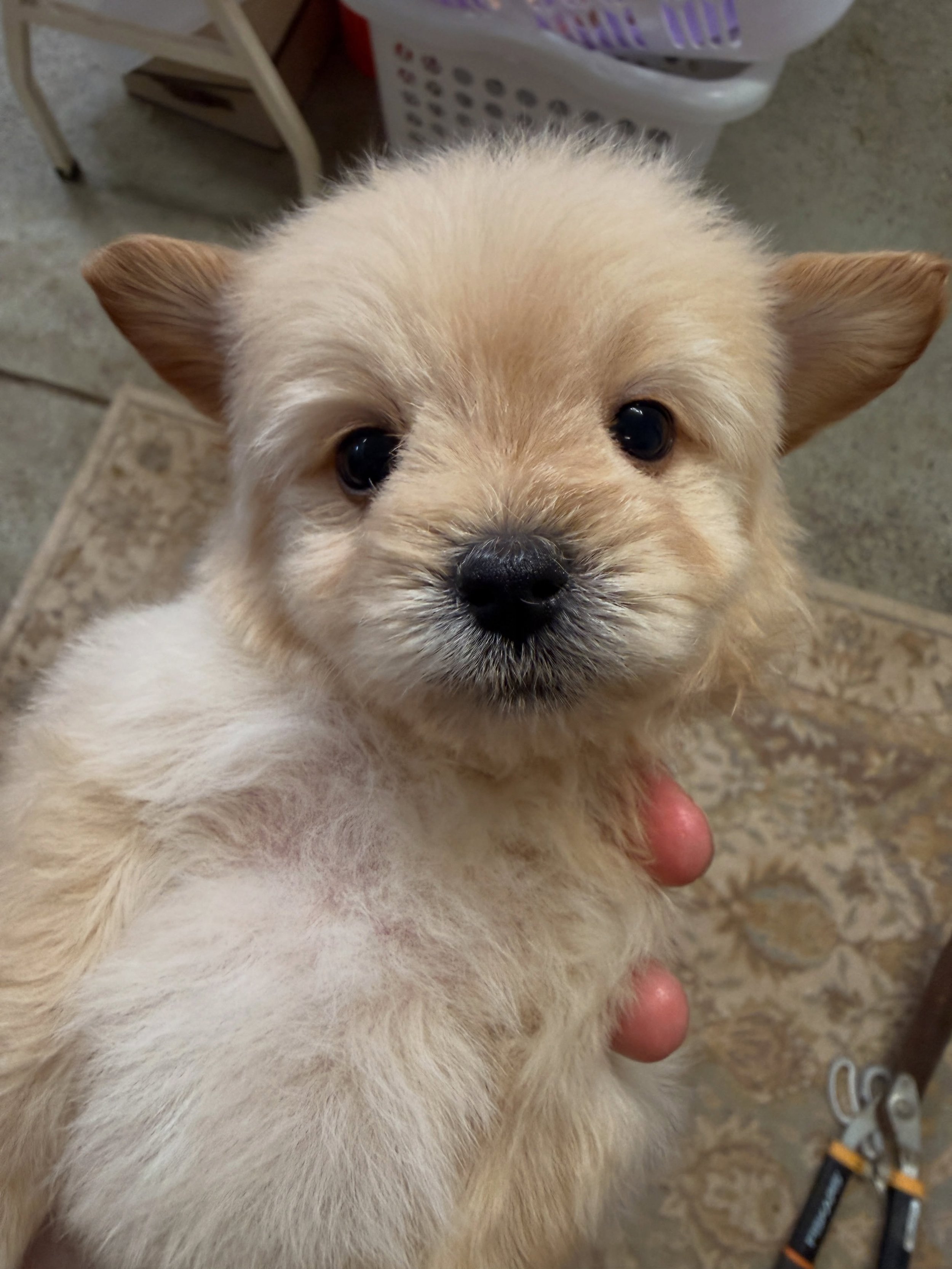 Thimble post bath and blowout