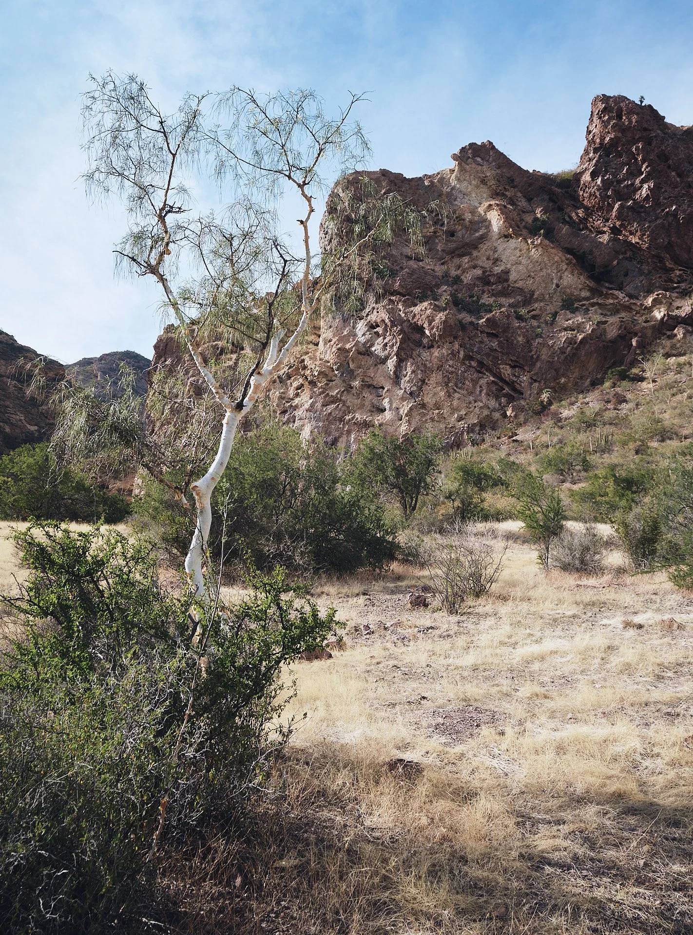 DSCF2176 1.jpg