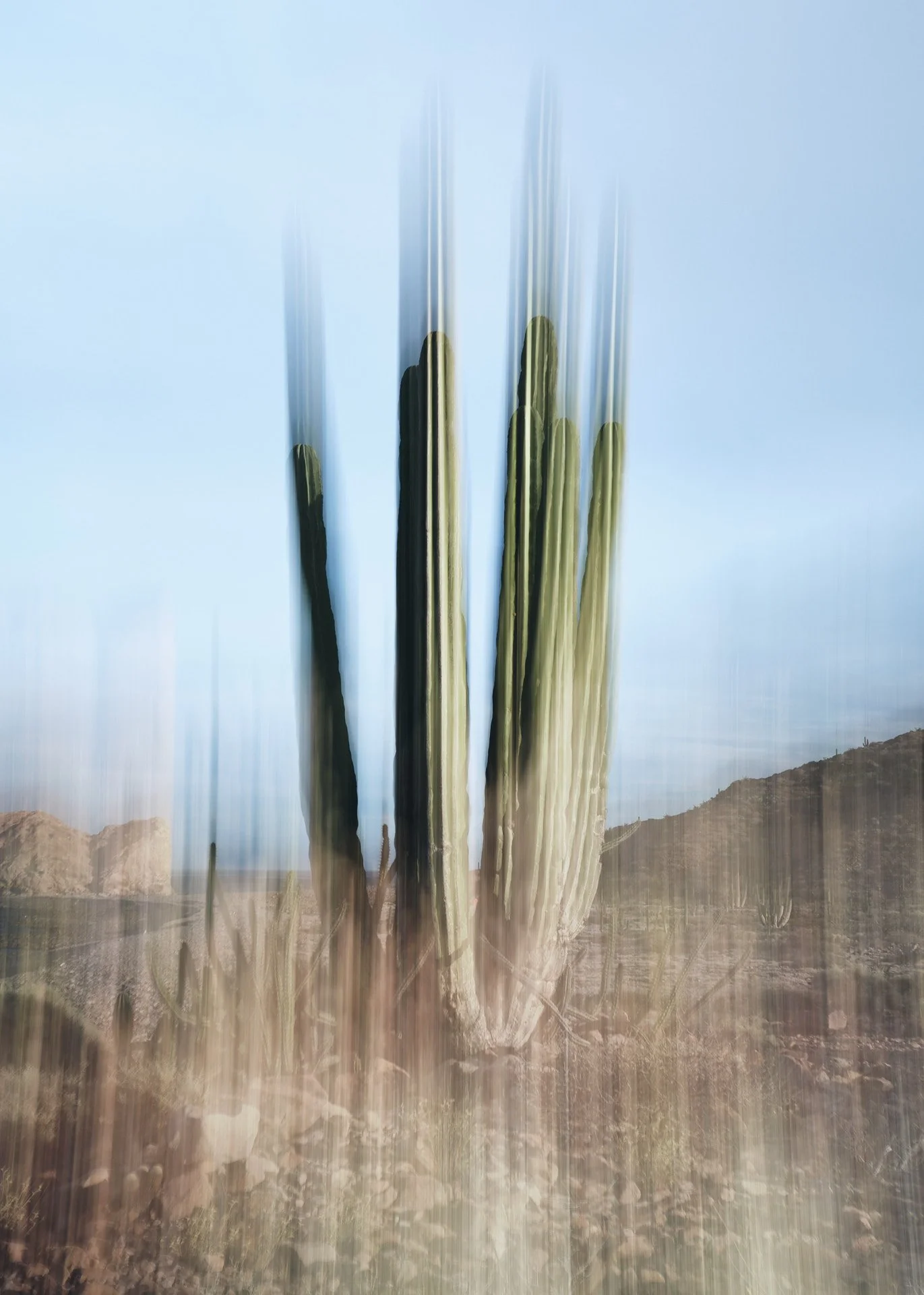 DSCF1782 1.jpg