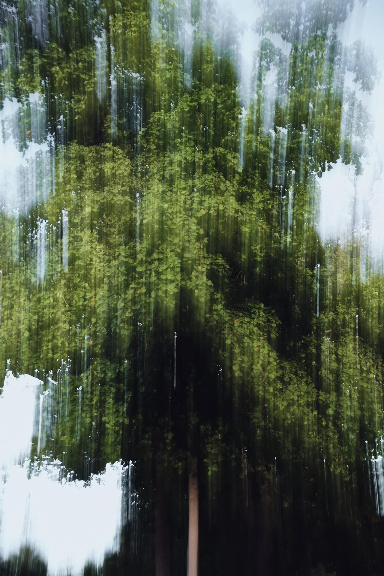 DSCF1191.jpg