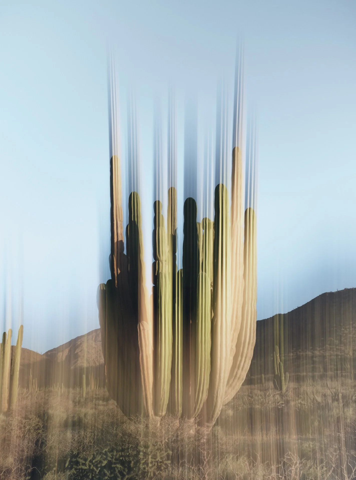 DSCF1892.jpg