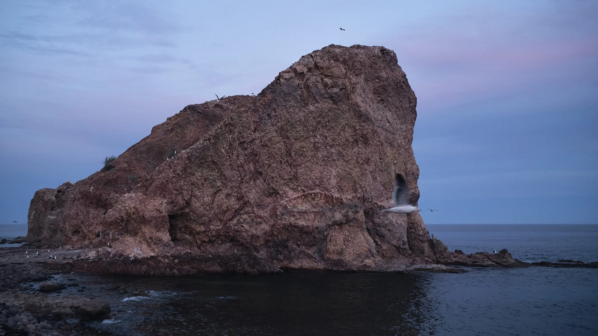 DSCF1823.jpg