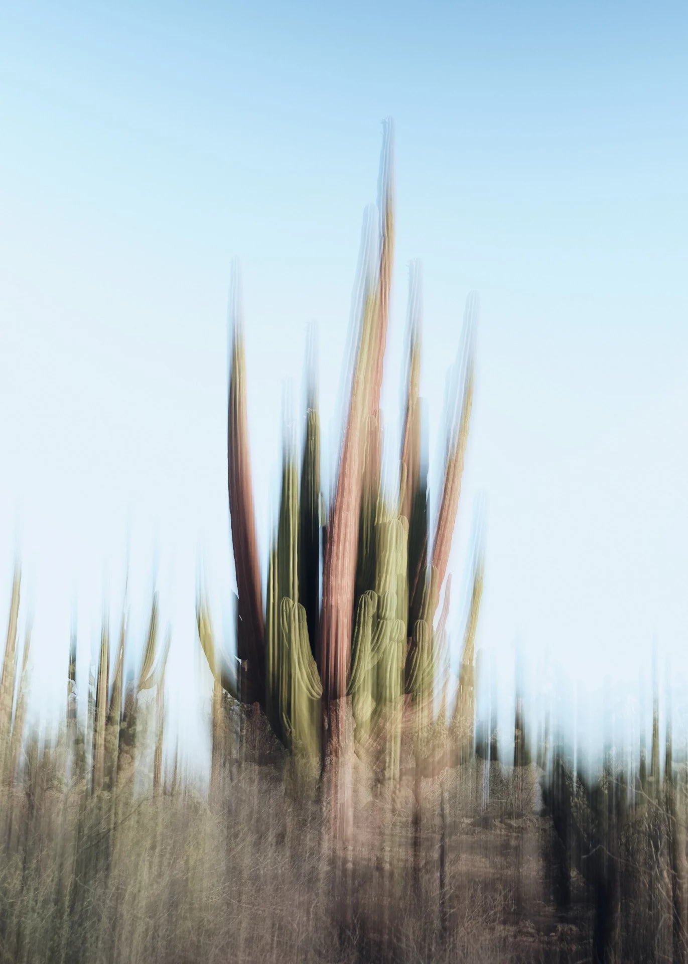 DSCF1084.jpg