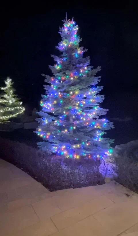 Christmas Lights