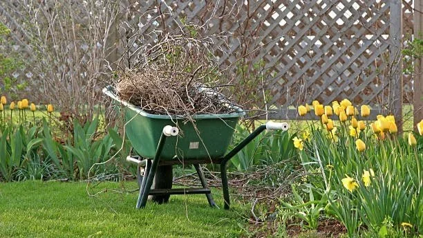 Seasonal Cleanup