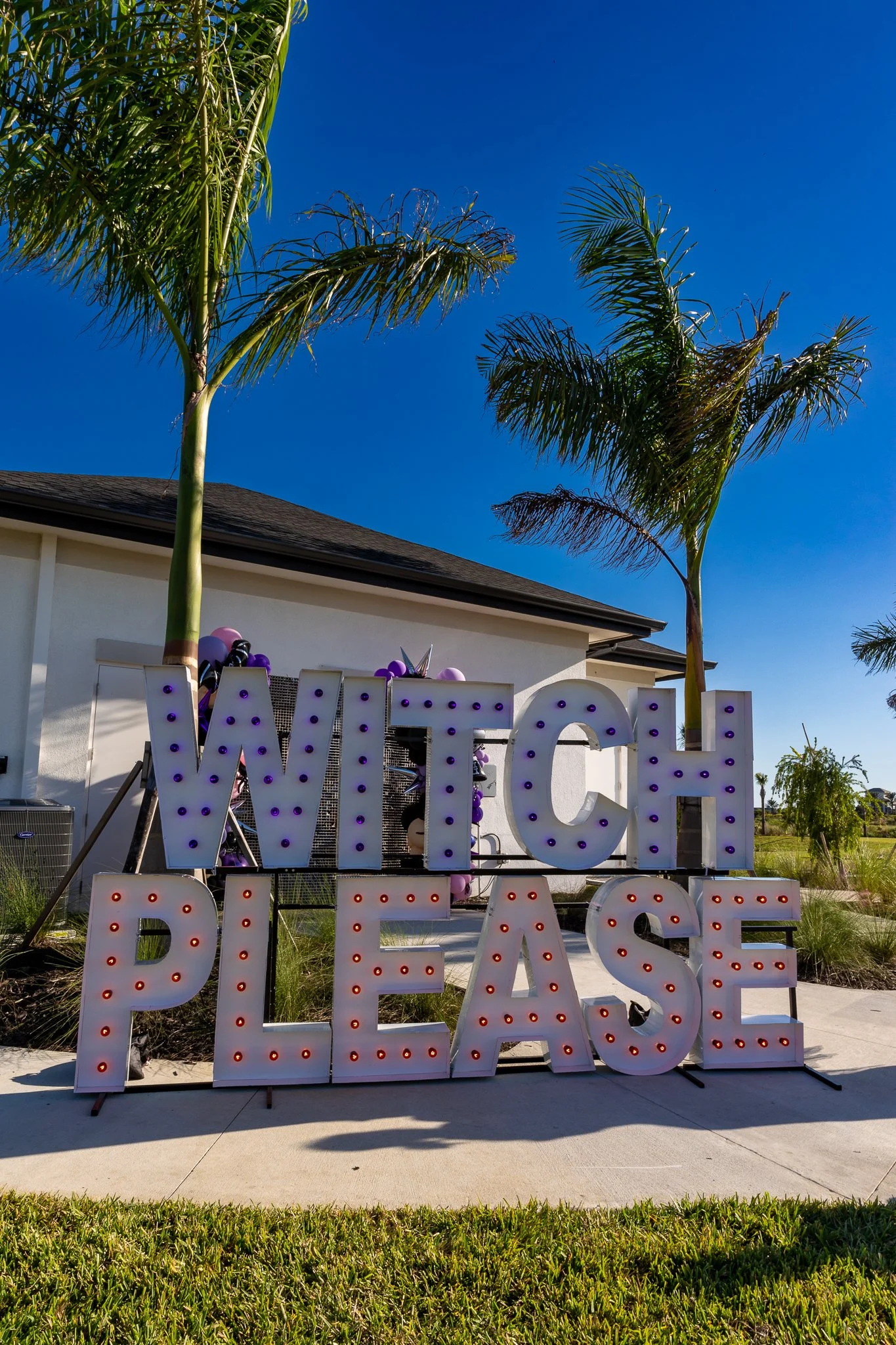 witchplease.jpg