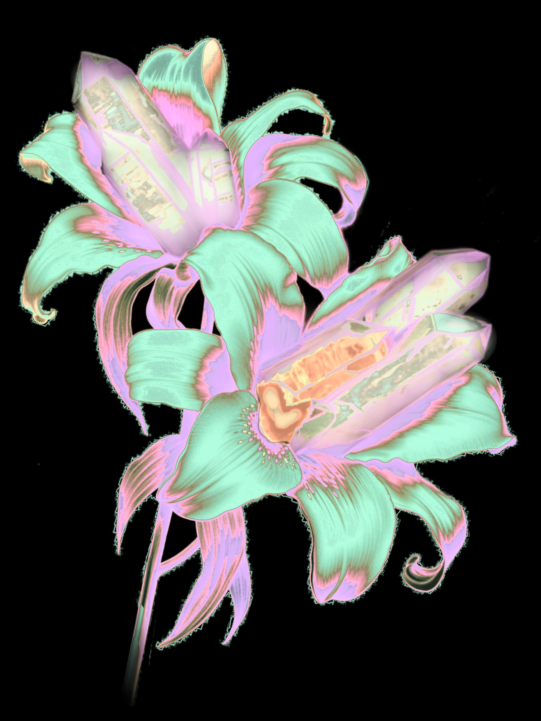 “LATE BLOOM”