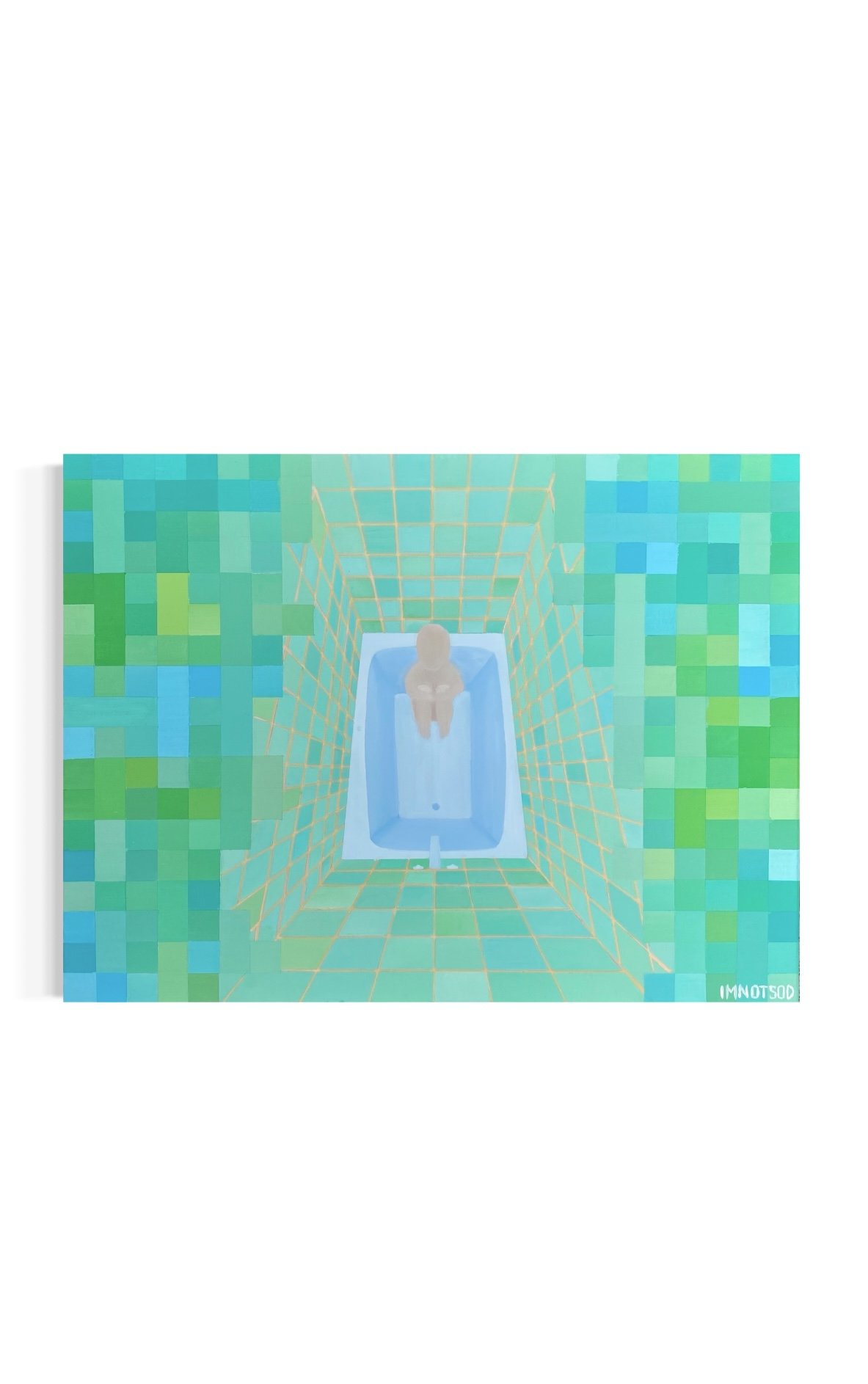 “TRANSITION”