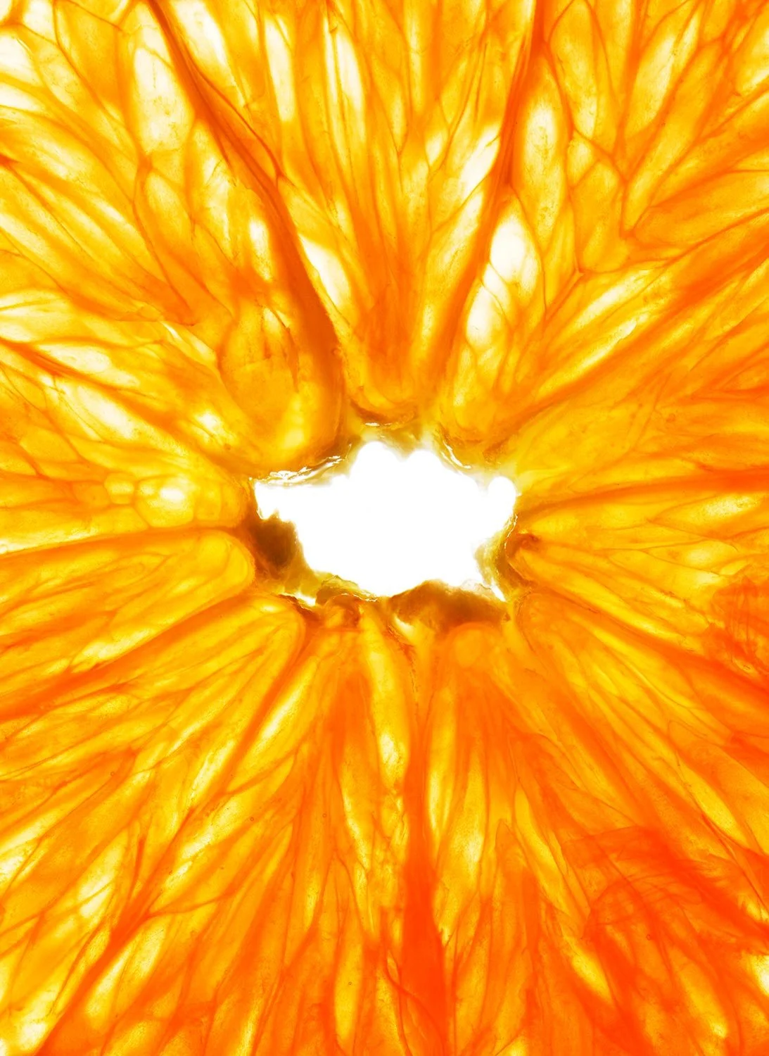orange-fruit-macro-texture-studio-photography.jpg