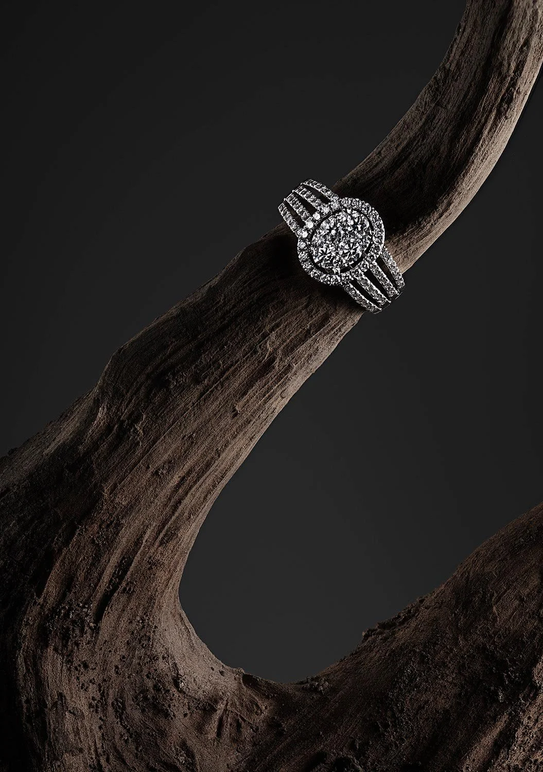 conceptual-luxury-ring-still-life-photography-studio.jpg