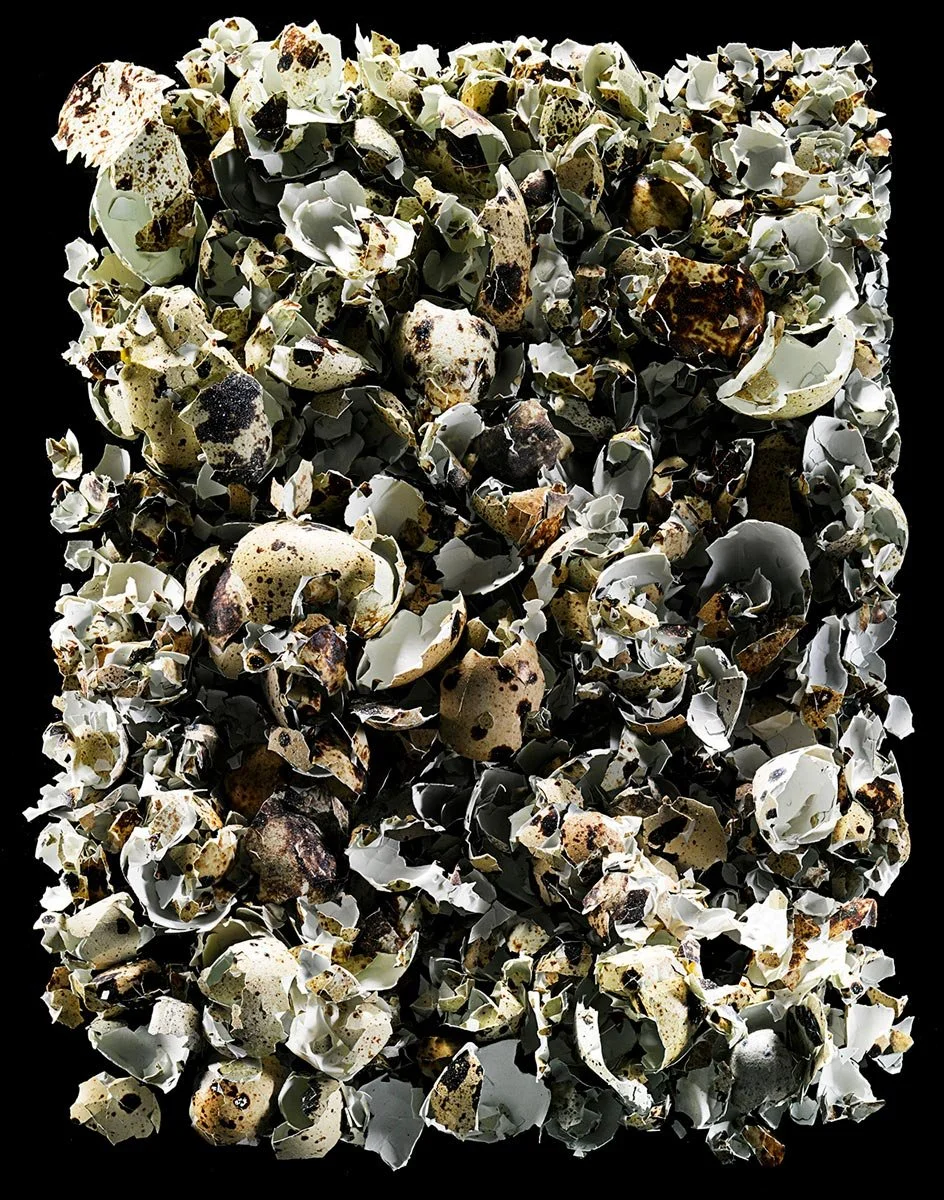 A pile of broken eggshells with various brown and white spots on a black background.